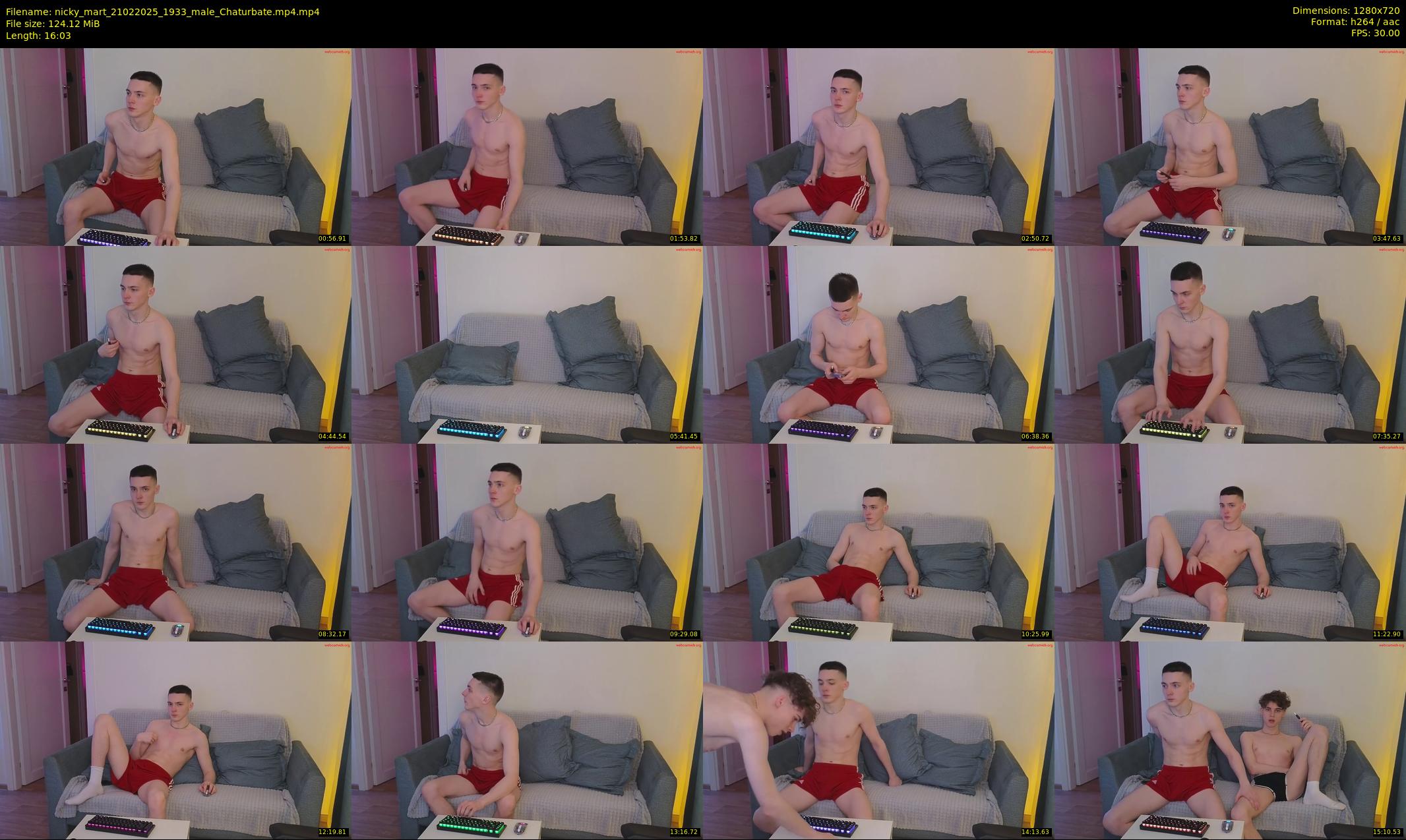 nicky_mart — 17 minute Chaturbate male cam show recording, 720p, Feb 21, 2025