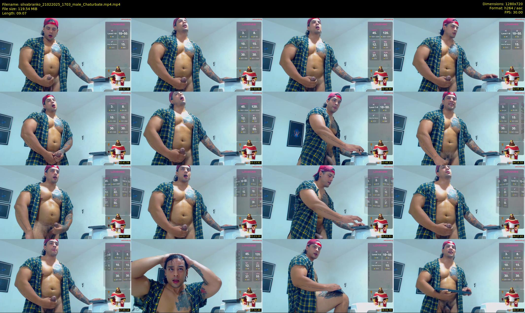silvabranko — 10 minute Chaturbate male cam show recording, 720p, Feb 21, 2025
