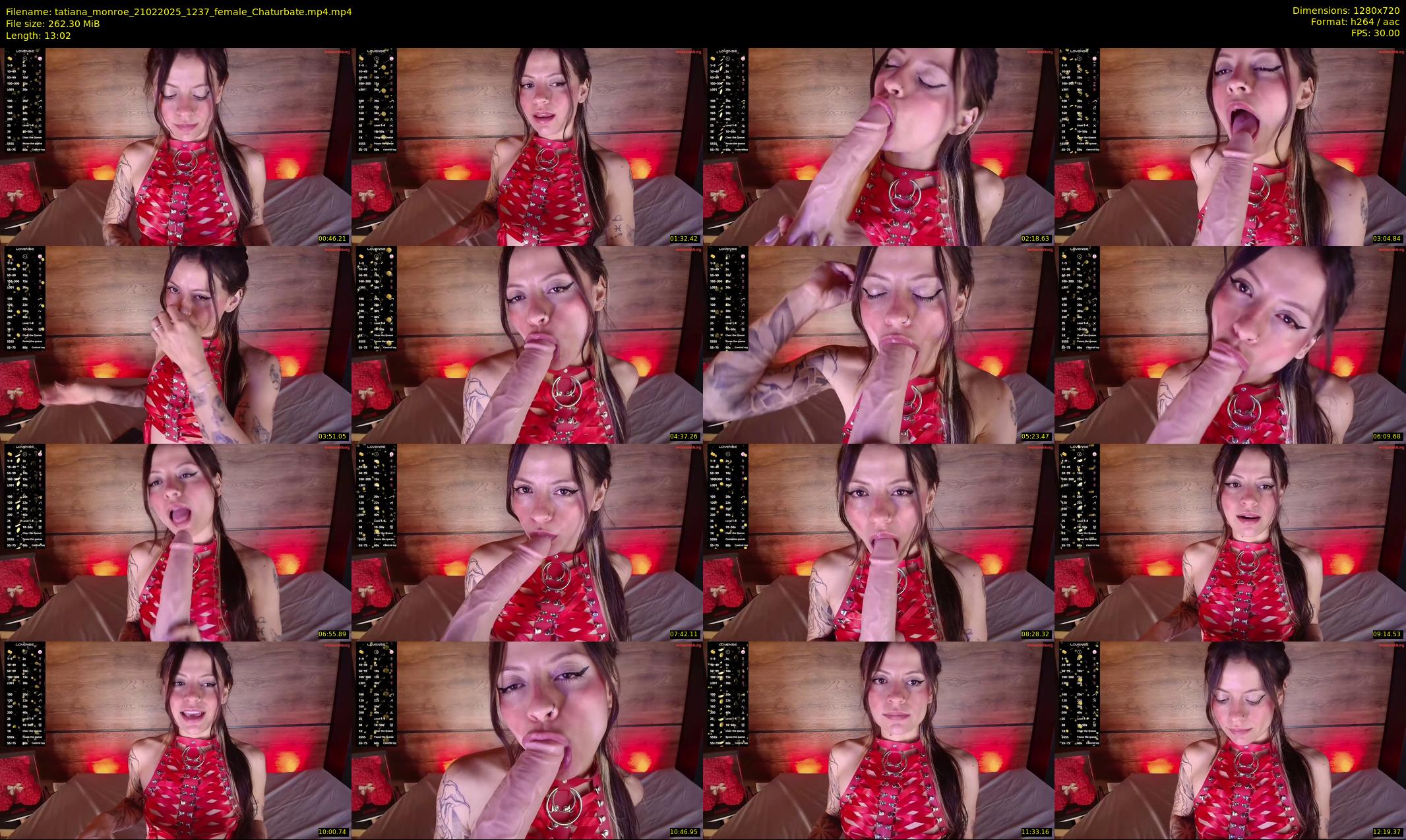 tatiana_monroe — 14 minute Chaturbate female cam show recording, 720p, Feb 21, 2025