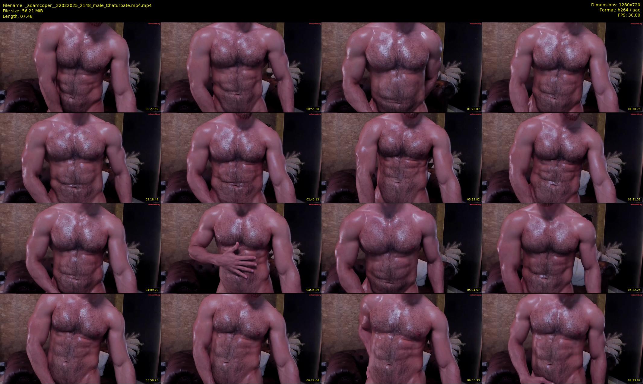 _adamcoper_ — 8 minute Chaturbate male cam show recording, 720p, Feb 22, 2025