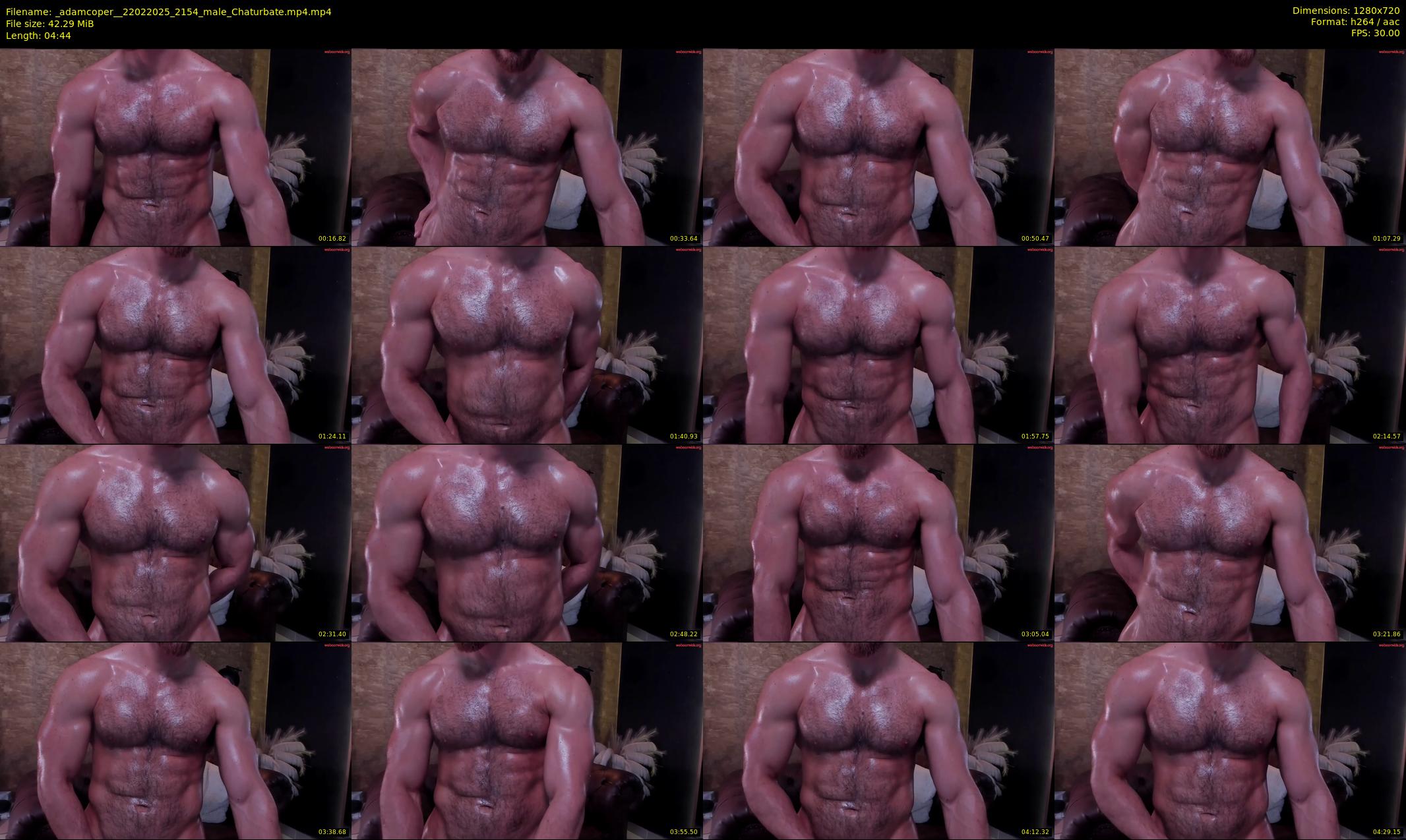 _adamcoper_ — 5 minute Chaturbate male cam show recording, 720p, Feb 22, 2025