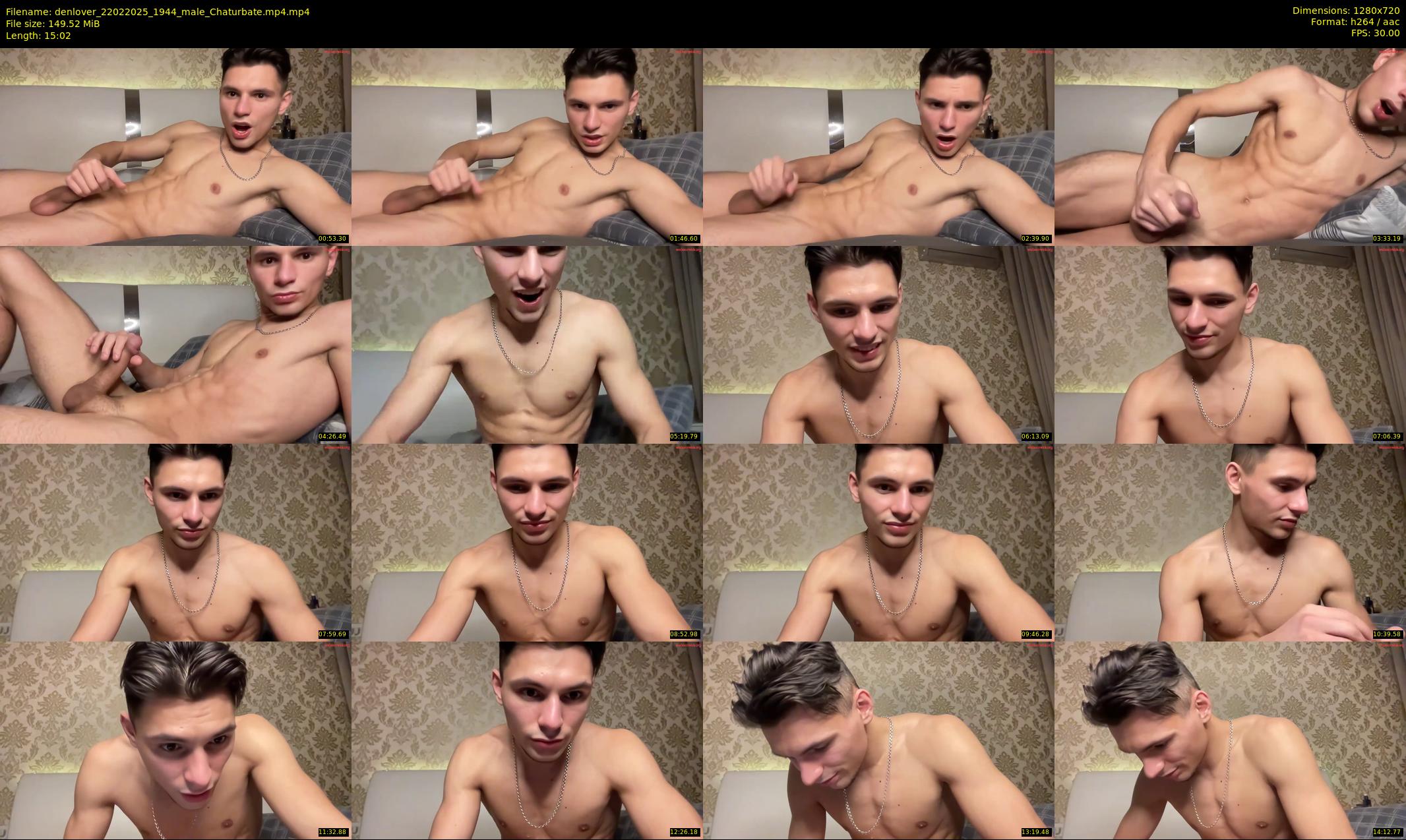 denlover — 16 minute Chaturbate male cam show recording, 720p, Feb 22, 2025