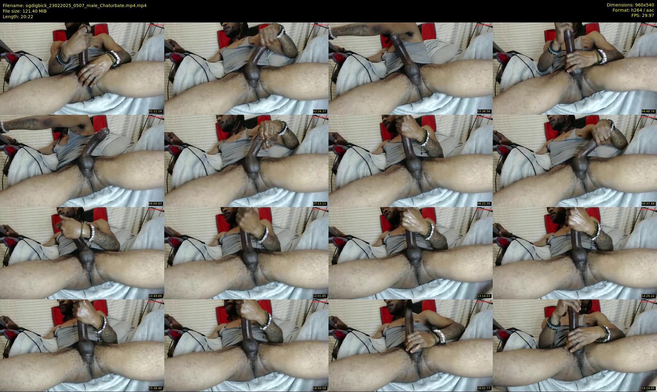 ogdigbick — 21 minute Chaturbate male cam show recording, 480p, Feb 23, 2025