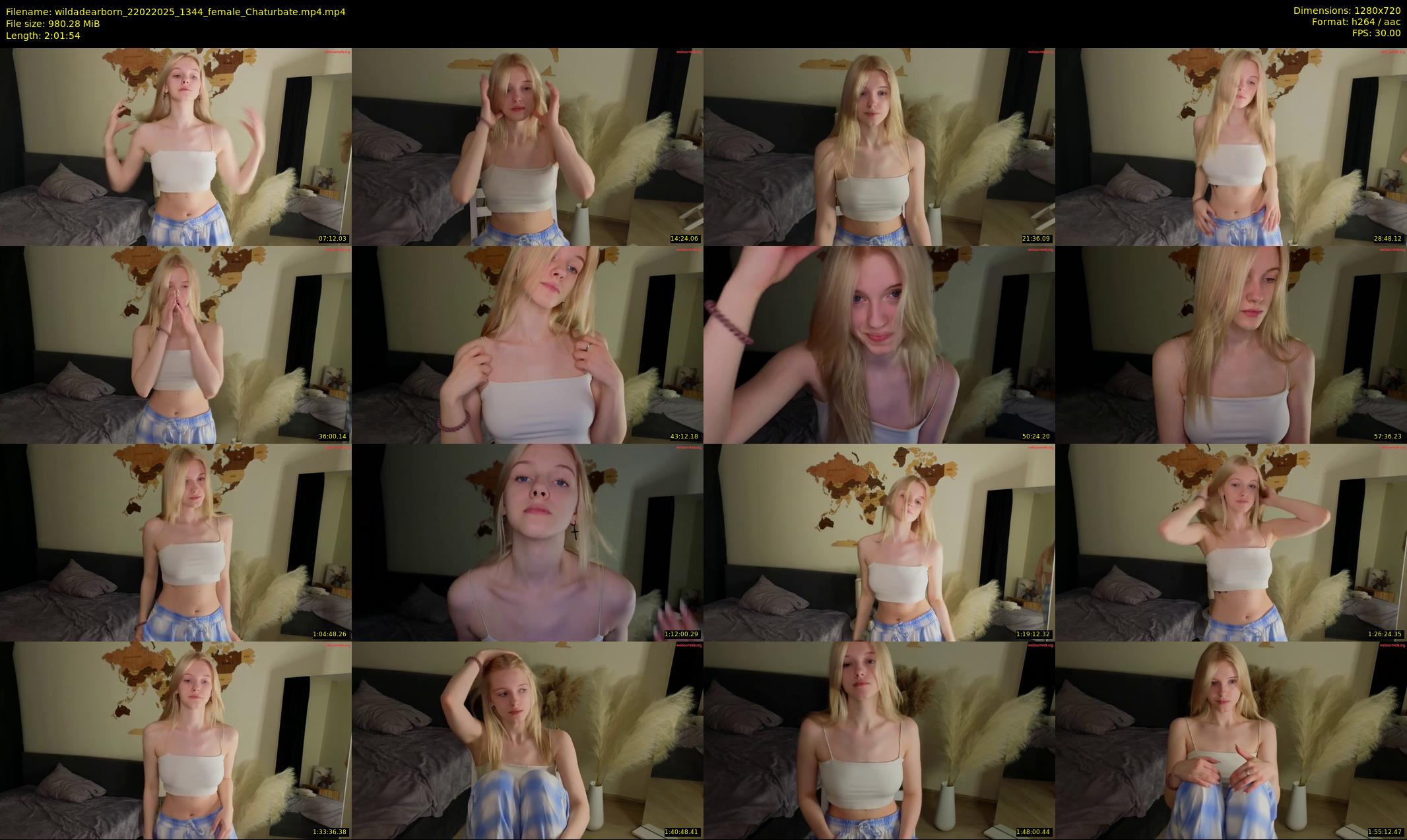 wildadearborn — 122 minute Chaturbate female cam show recording, 720p, Feb 22, 2025