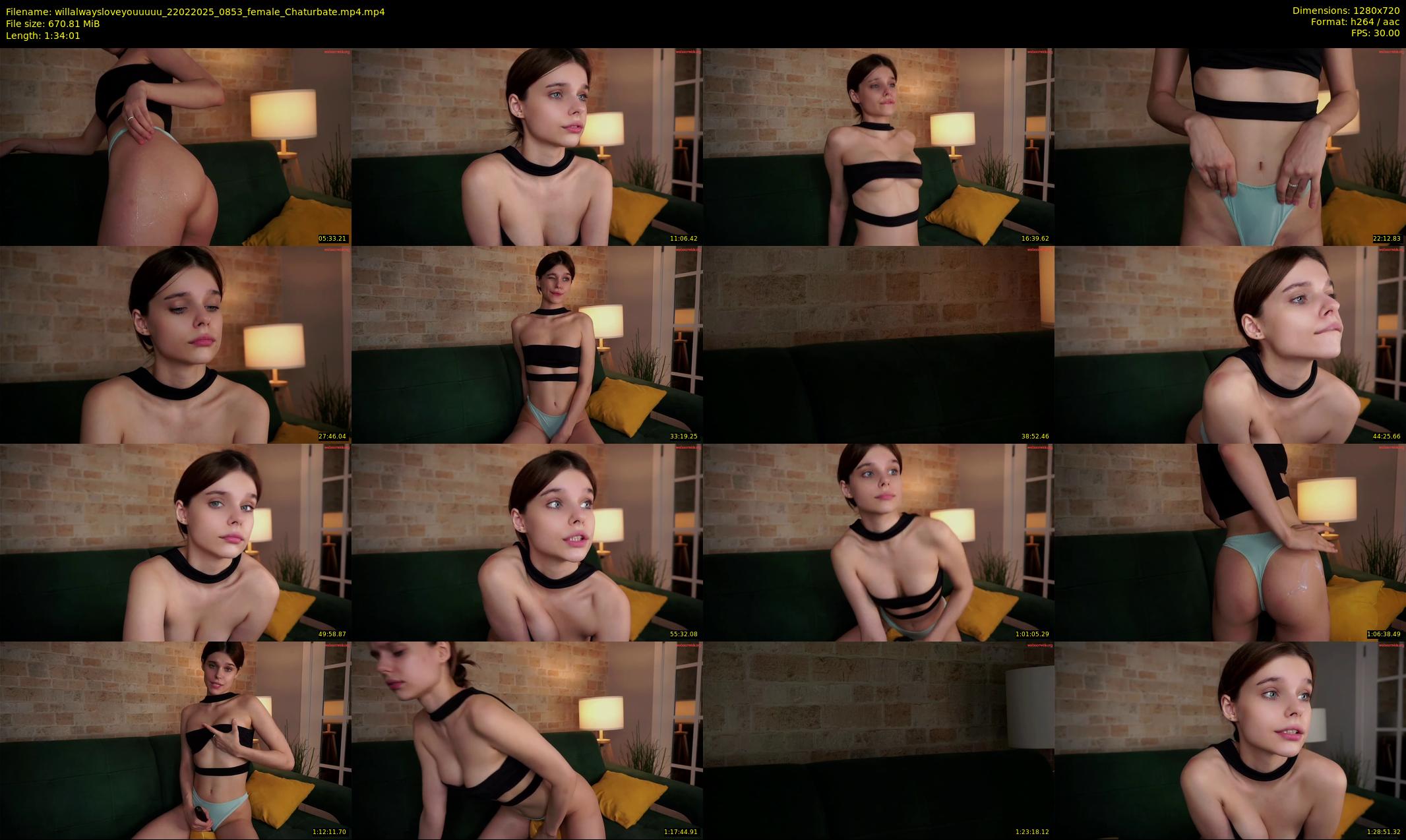 willalwaysloveyouuuuu — 95 minute Chaturbate female cam show recording, 720p, Feb 22, 2025