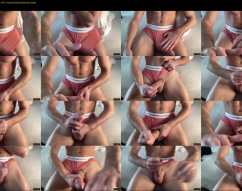 bestdick1991 — 6 minute Chaturbate male cam show recording, 720p, Feb 23, 2025