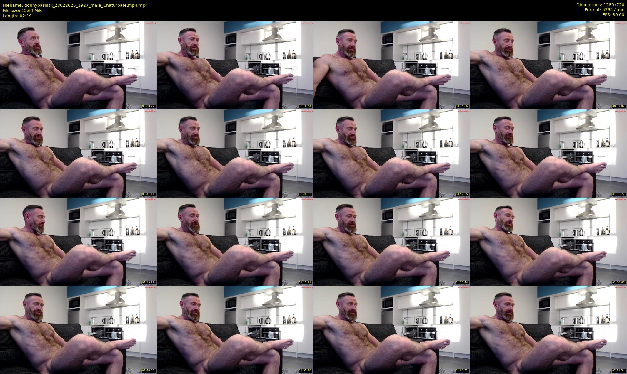donnybasilisk — 3 minute Chaturbate male cam show recording, 720p, Feb 23, 2025