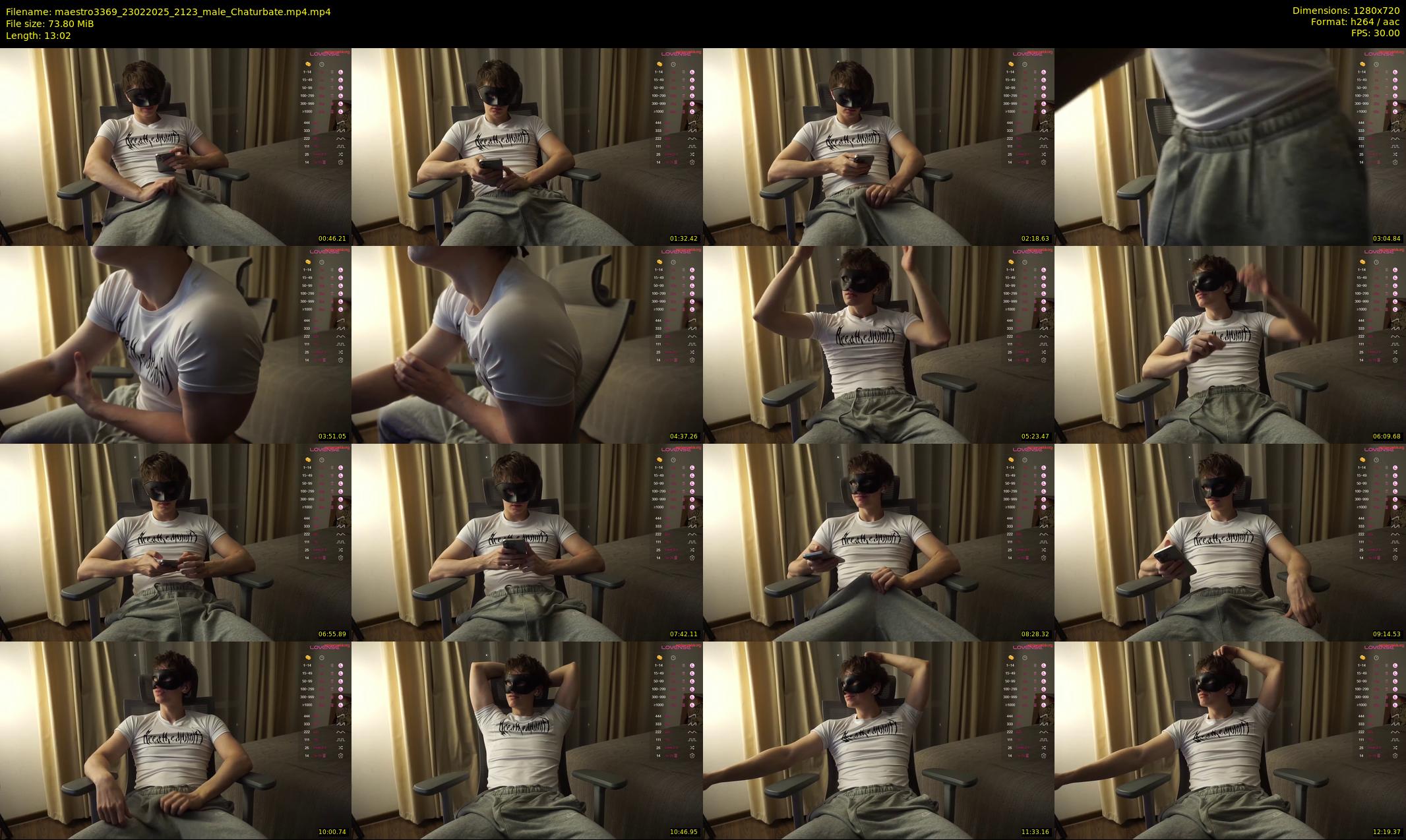 maestro3369 — 14 minute Chaturbate male cam show recording, 720p, Feb 23, 2025