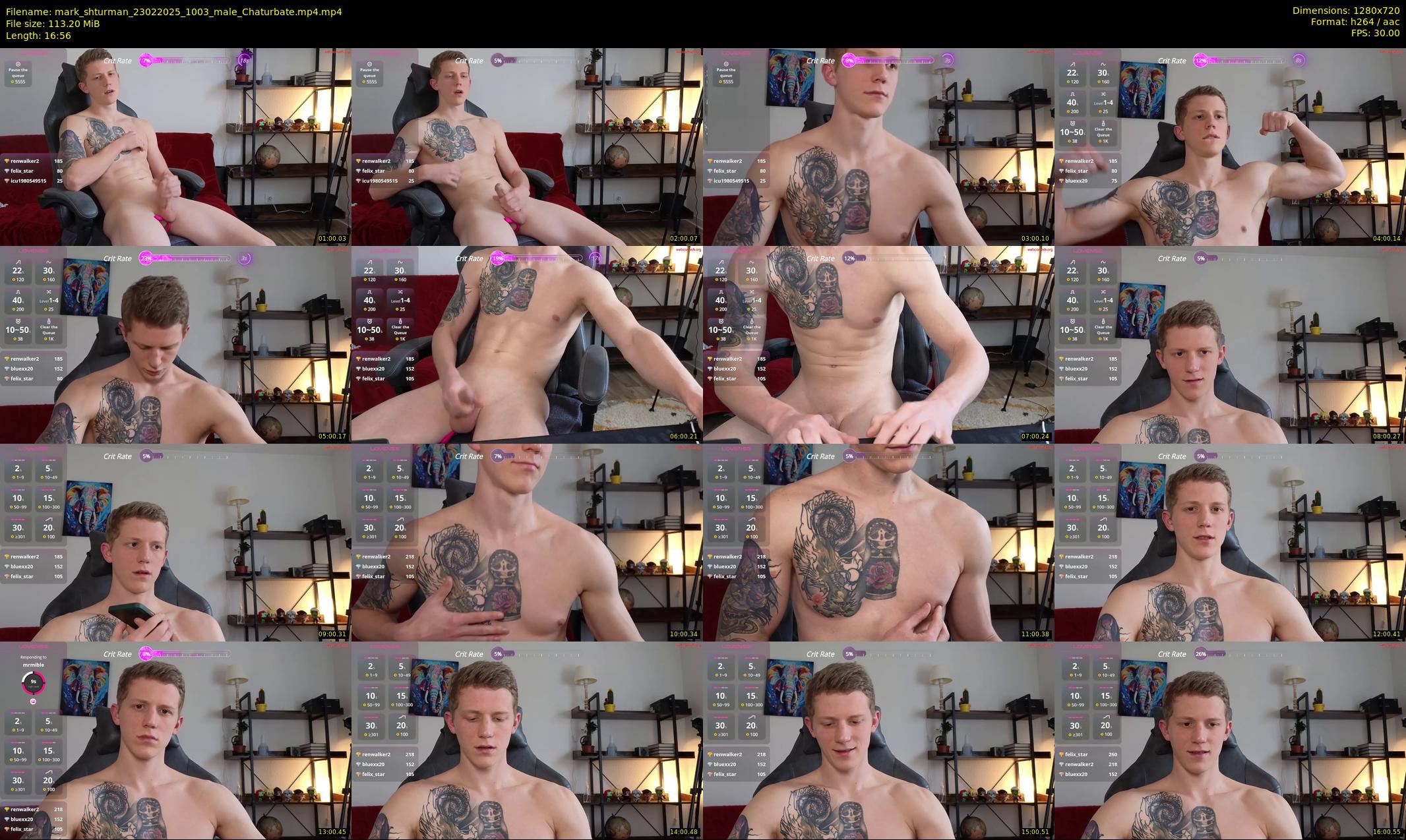 mark_shturman — 17 minute Chaturbate male cam show recording, 720p, Feb 23, 2025