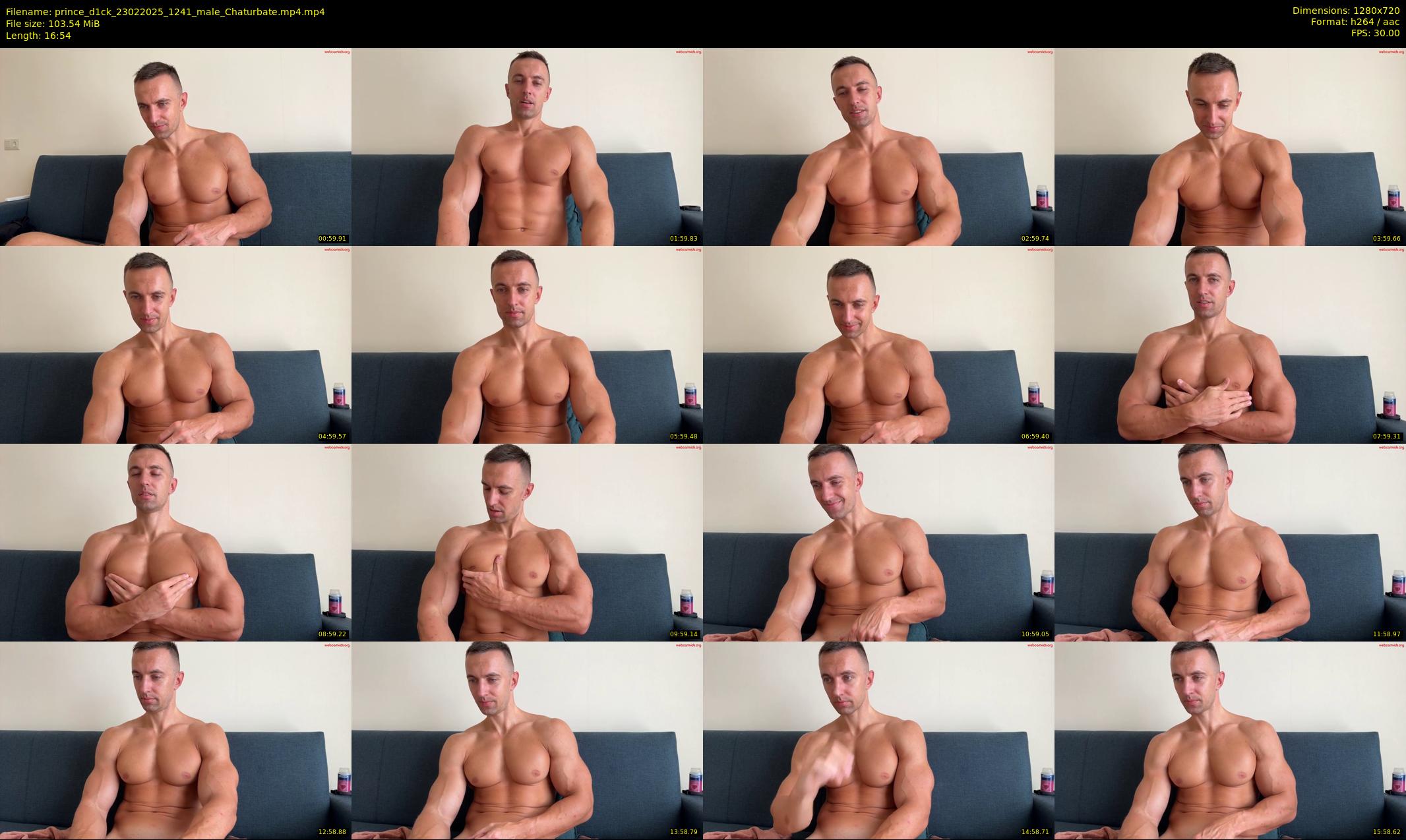 prince_d1ck — 17 minute Chaturbate male cam show recording, 720p, Feb 23, 2025