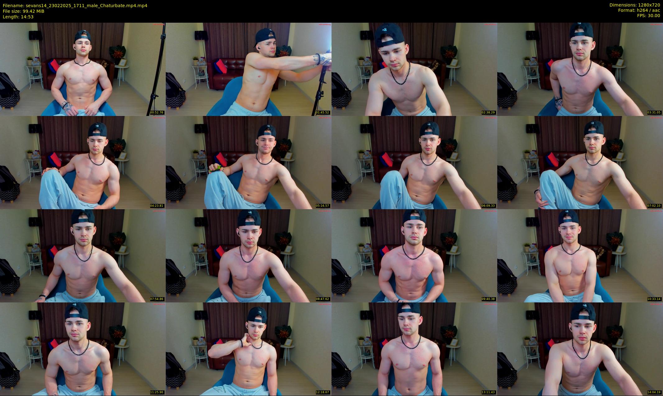 sevans14 — 15 minute Chaturbate male cam show recording, 720p, Feb 23, 2025