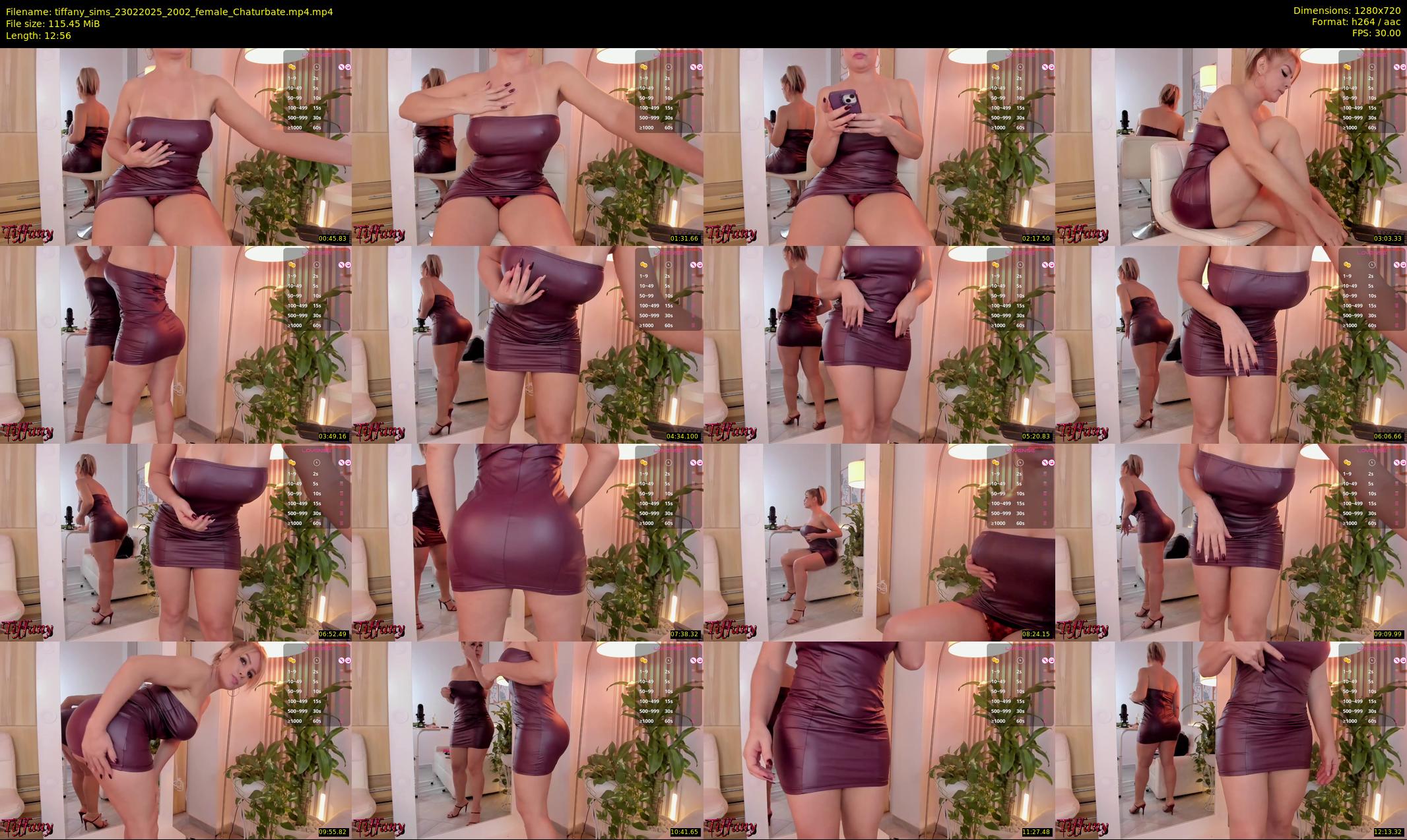 tiffany_sims — 13 minute Chaturbate female cam show recording, 720p, Feb 23, 2025