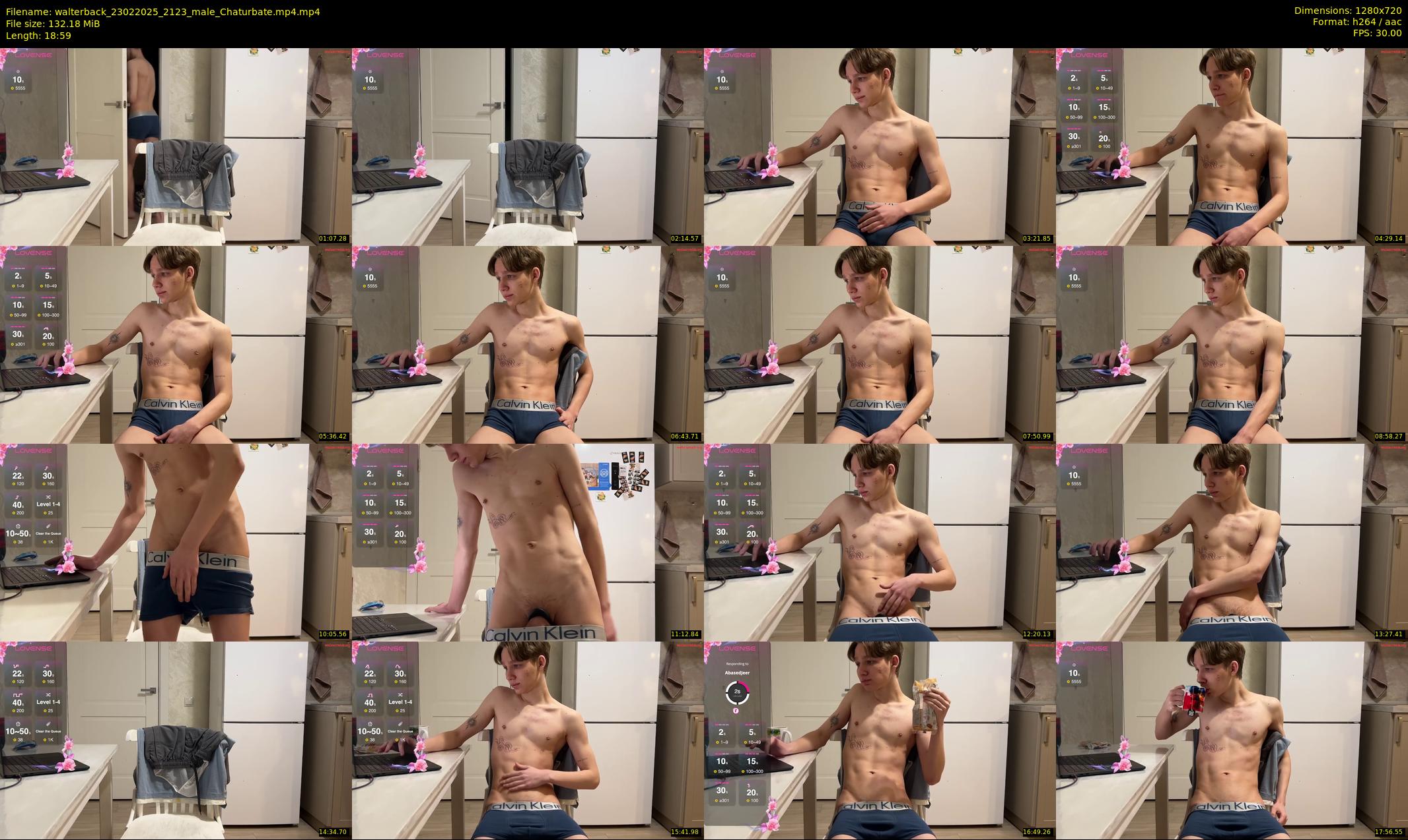 walterback — 19 minute Chaturbate male cam show recording, 720p, Feb 23, 2025