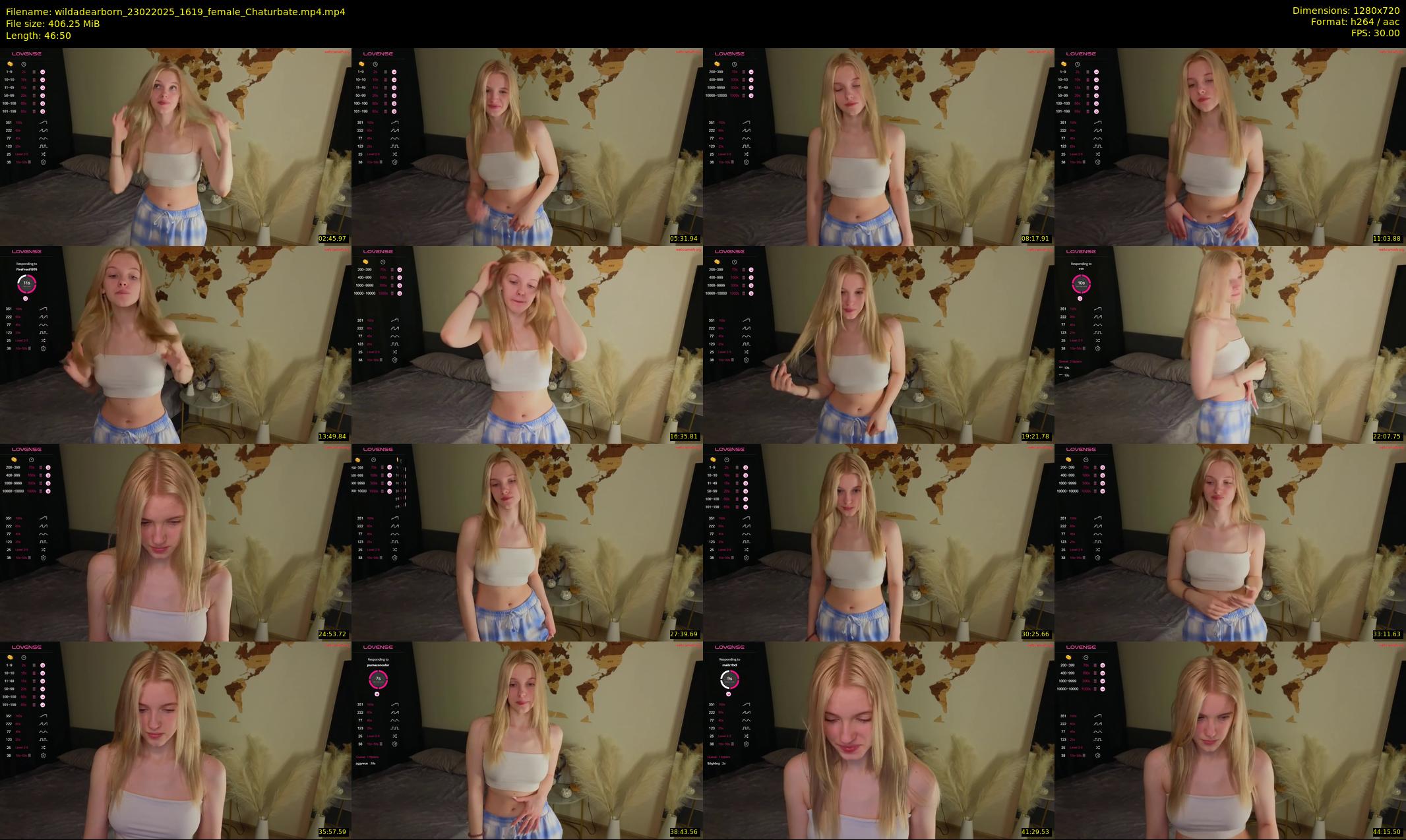 wildadearborn — 47 minute Chaturbate female cam show recording, 720p, Feb 23, 2025