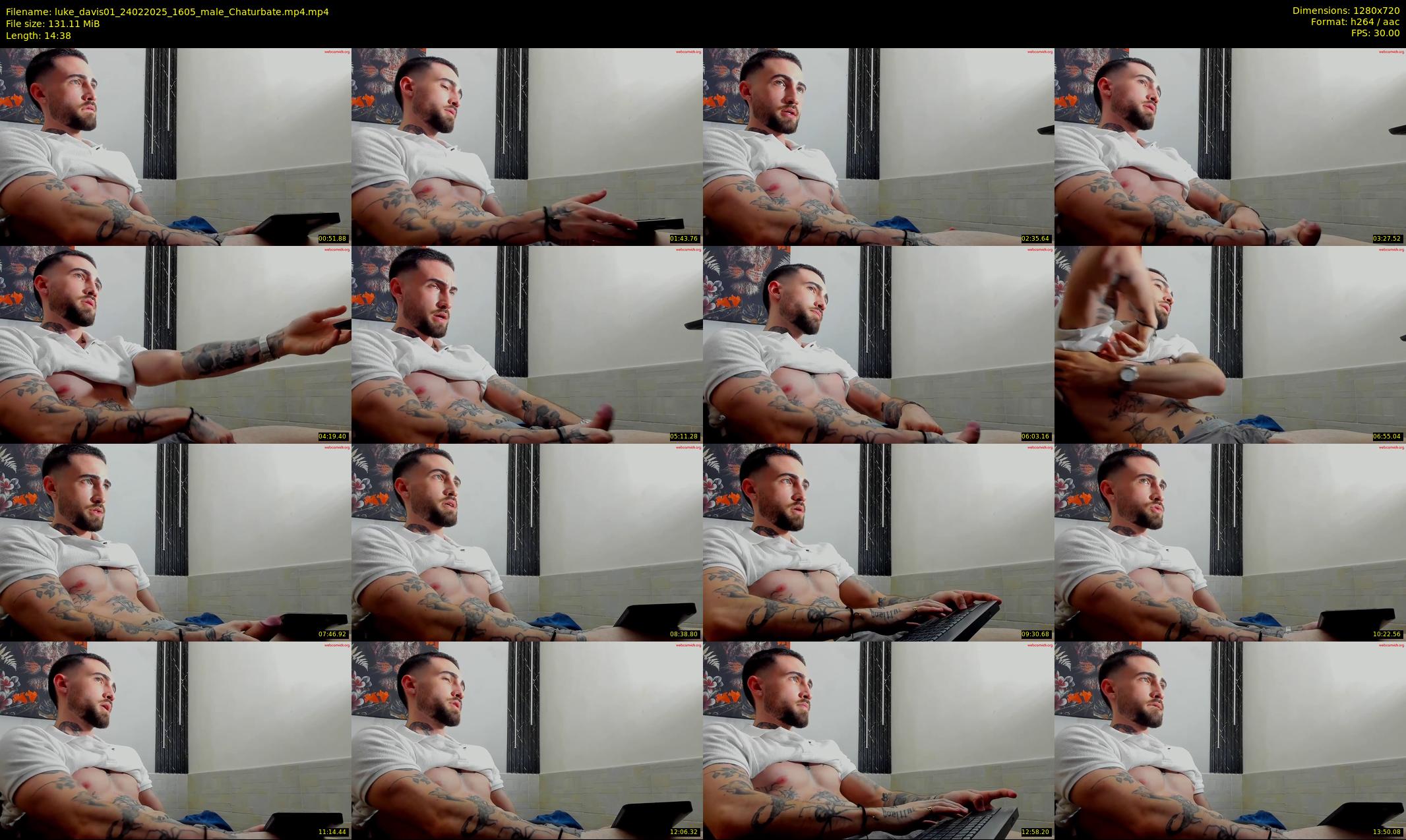luke_davis01 — 15 minute Chaturbate male cam show recording, 720p, Feb 24, 2025