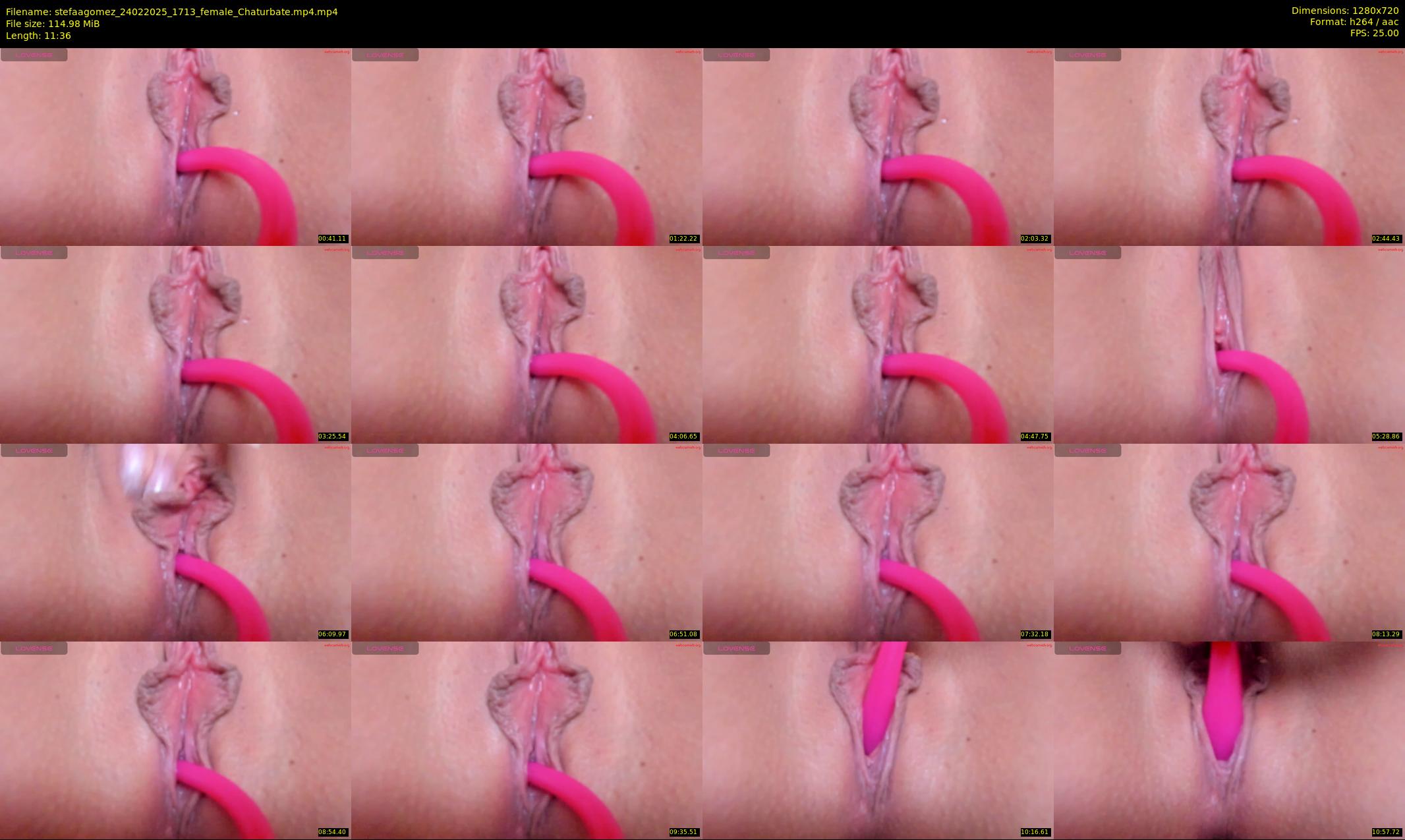 stefaagomez — 12 minute Chaturbate female cam show recording, 720p, Feb 24, 2025
