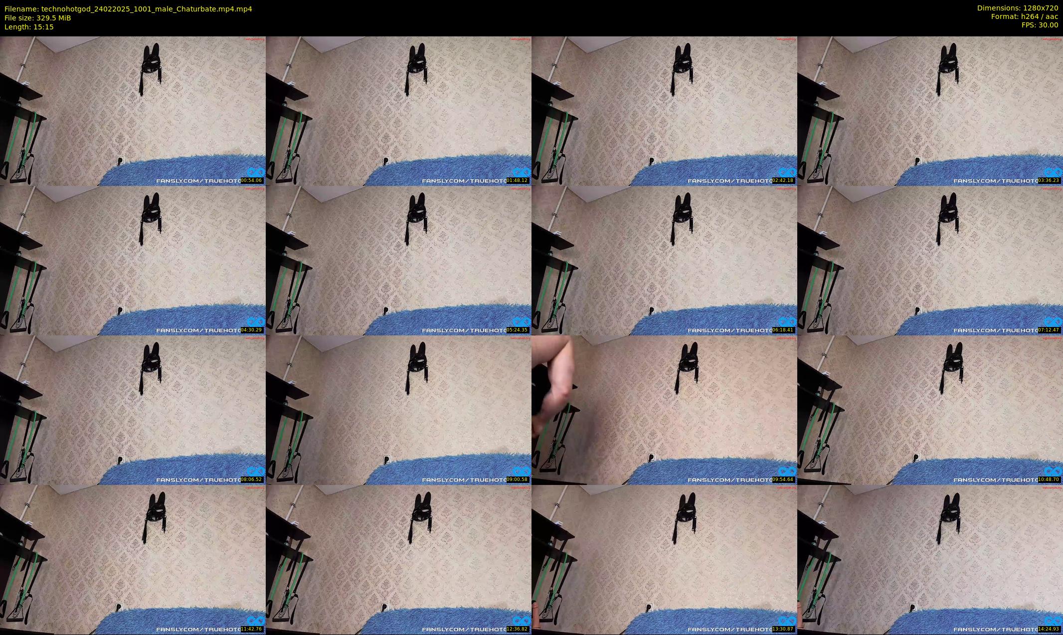 technohotgod — 16 minute Chaturbate male cam show recording, 720p, Feb 24, 2025