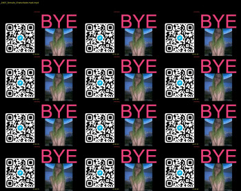 white_widow_ — 29 minute Chaturbate female cam show recording, 720p, Feb 24, 2025