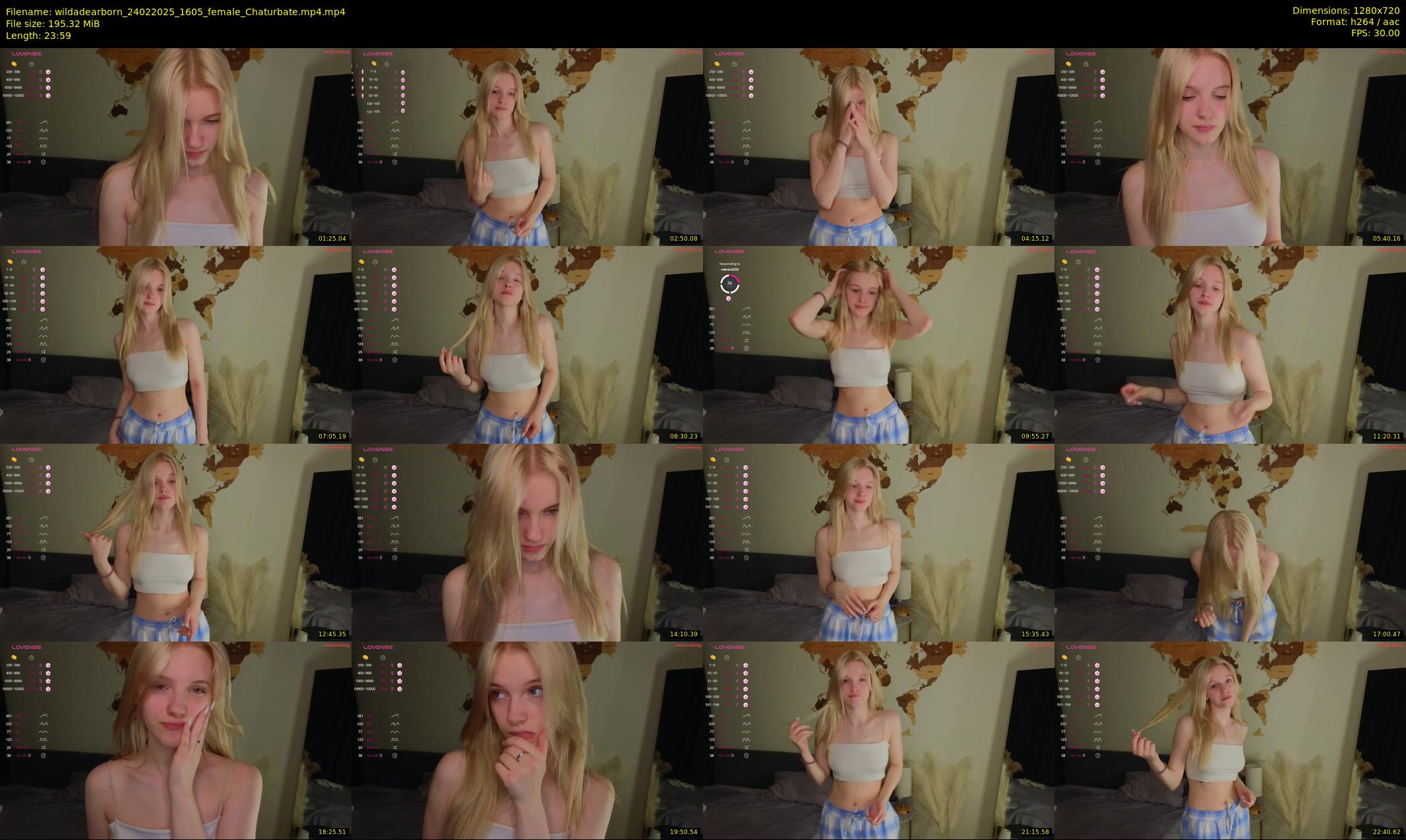 wildadearborn — 24 minute Chaturbate female cam show recording, 720p, Feb 24, 2025