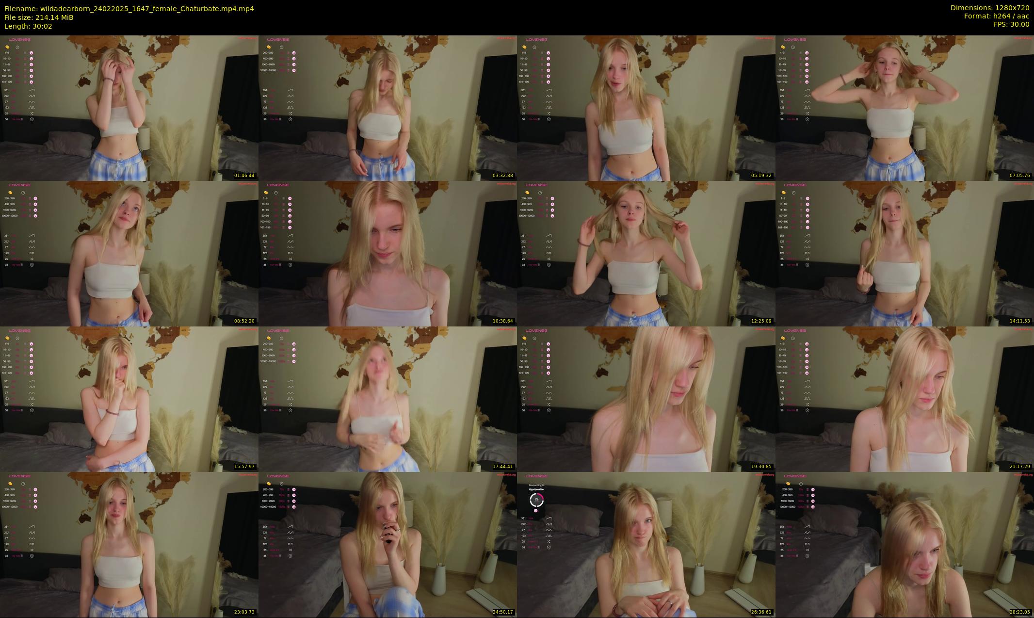 wildadearborn — 31 minute Chaturbate female cam show recording, 720p, Feb 24, 2025