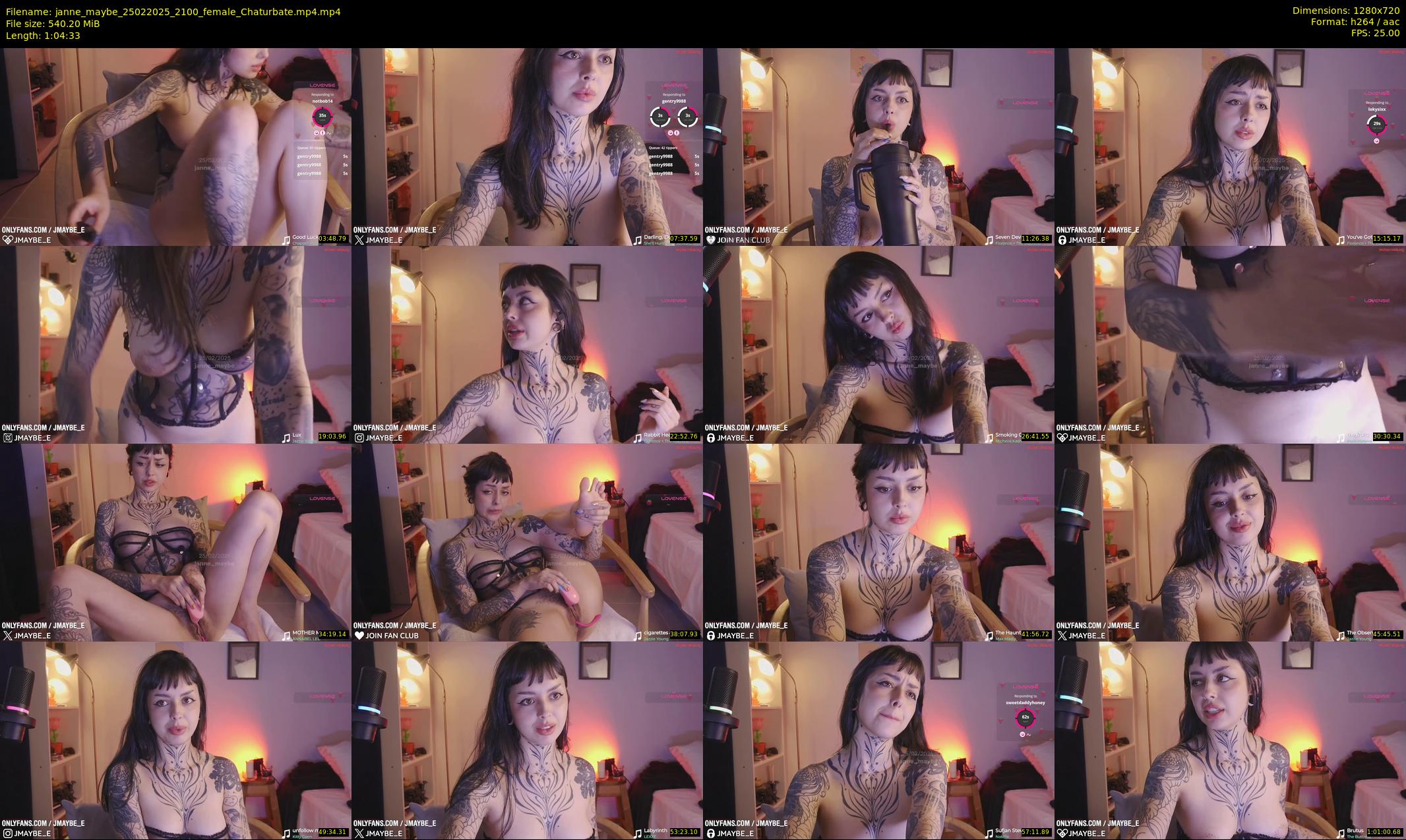 janne_maybe — 65 minute Chaturbate female cam show recording, 720p, Feb 25, 2025
