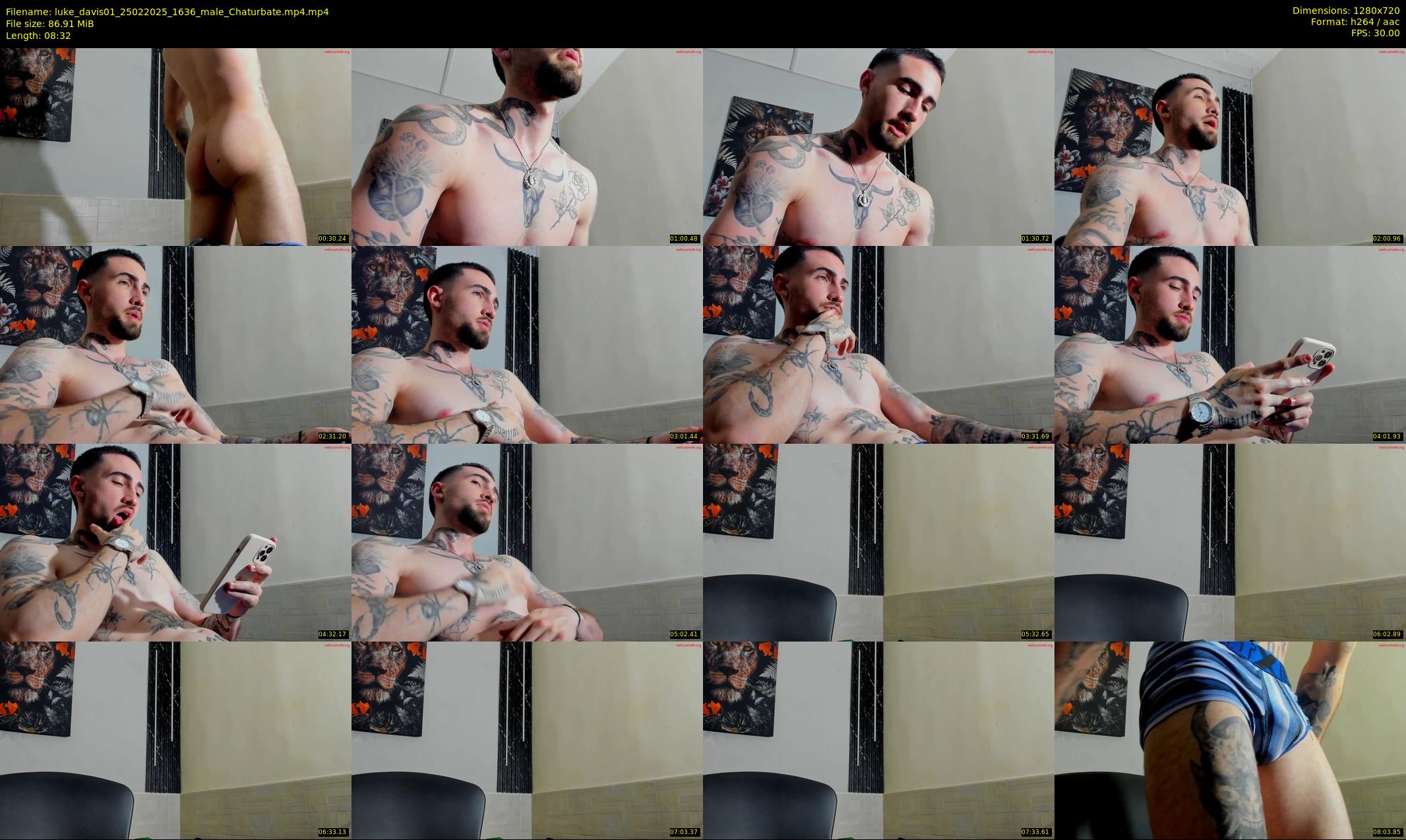 luke_davis01 — 9 minute Chaturbate male cam show recording, 720p, Feb 25, 2025
