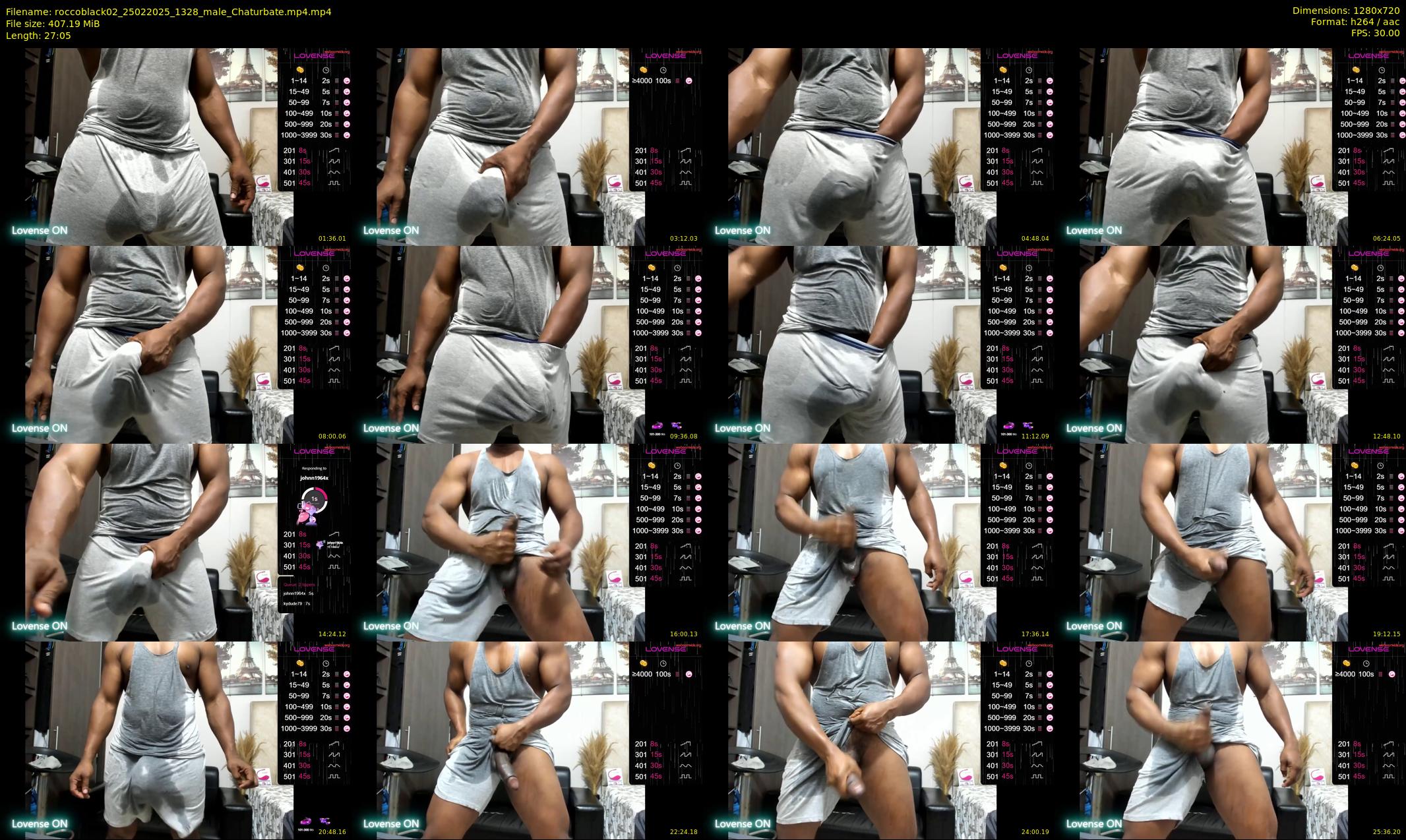 roccoblack02 — 28 minute Chaturbate male cam show recording, 720p, Feb 25, 2025