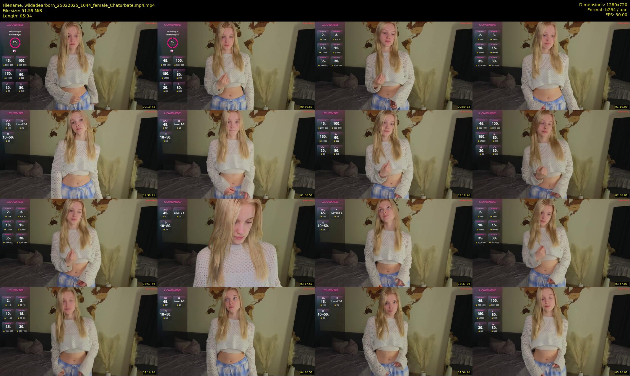 wildadearborn — 6 minute Chaturbate female cam show recording, 720p, Feb 25, 2025