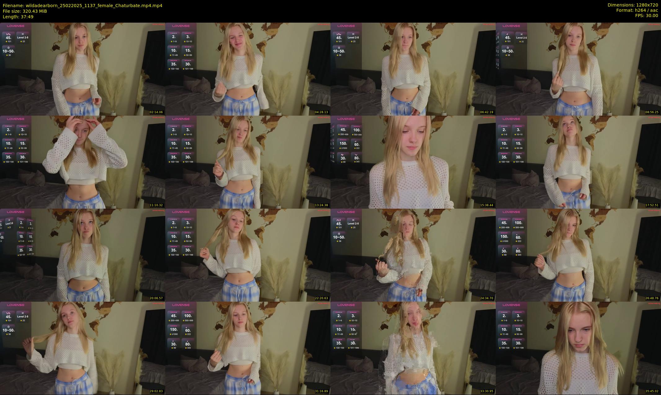 wildadearborn — 38 minute Chaturbate female cam show recording, 720p, Feb 25, 2025