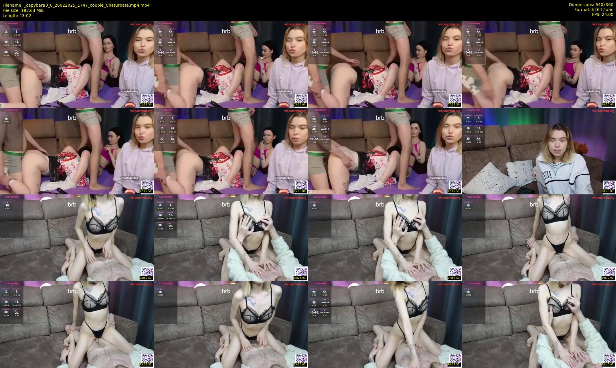_capybara0_0 — 44 minute Chaturbate couple cam show recording, 360p, Feb 26, 2025