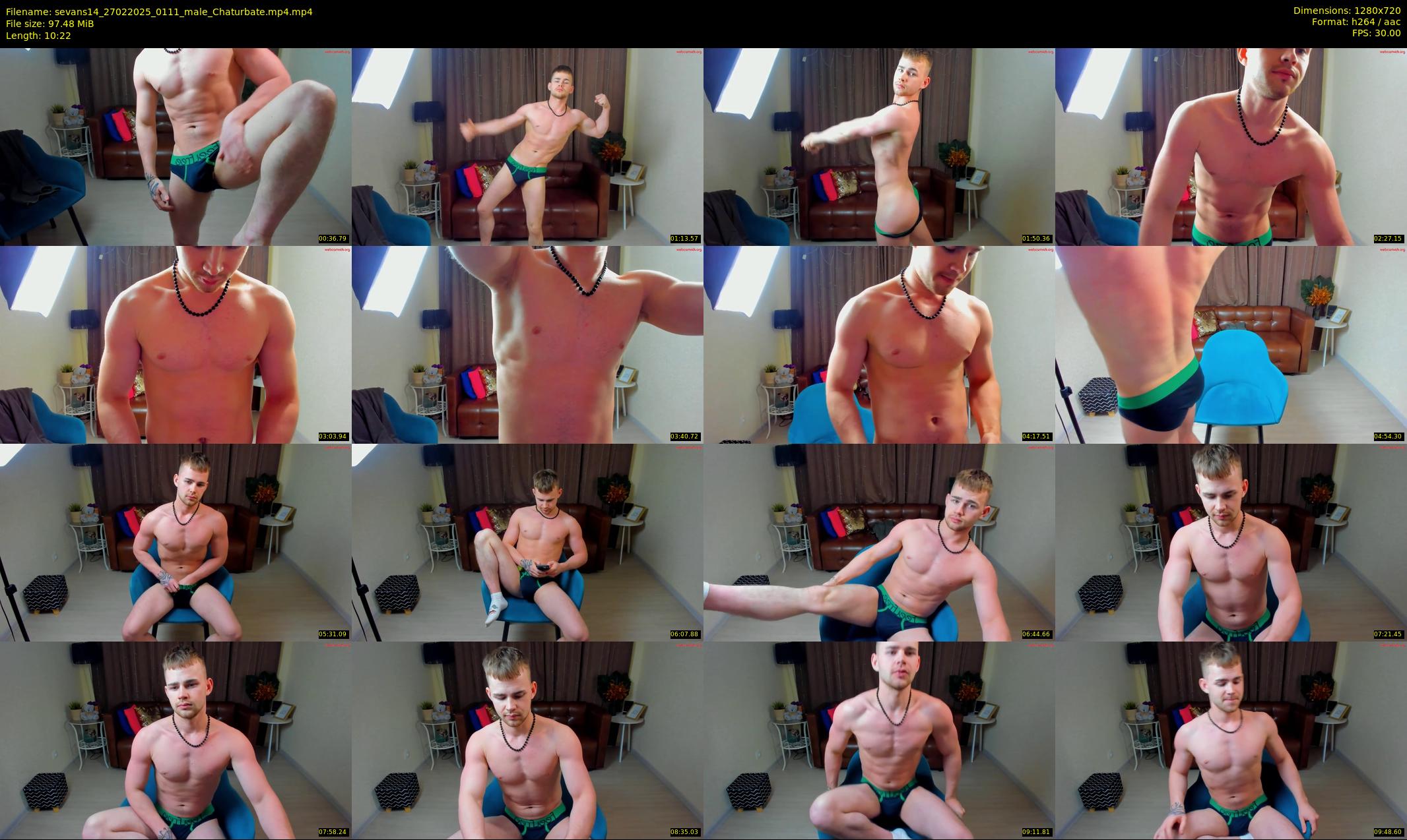 sevans14 — 11 minute Chaturbate male cam show recording, 720p, Feb 27, 2025