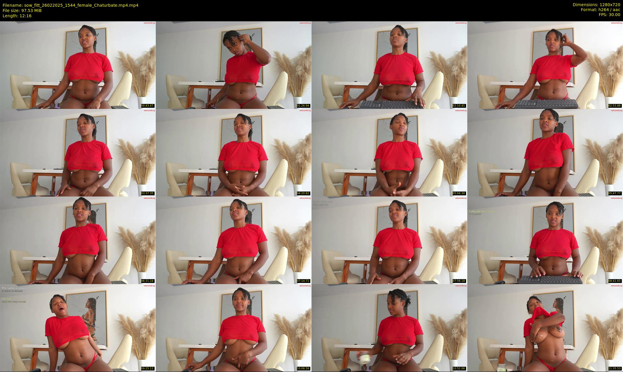 sow_fitt — 13 minute Chaturbate female cam show recording, 720p, Feb 26, 2025