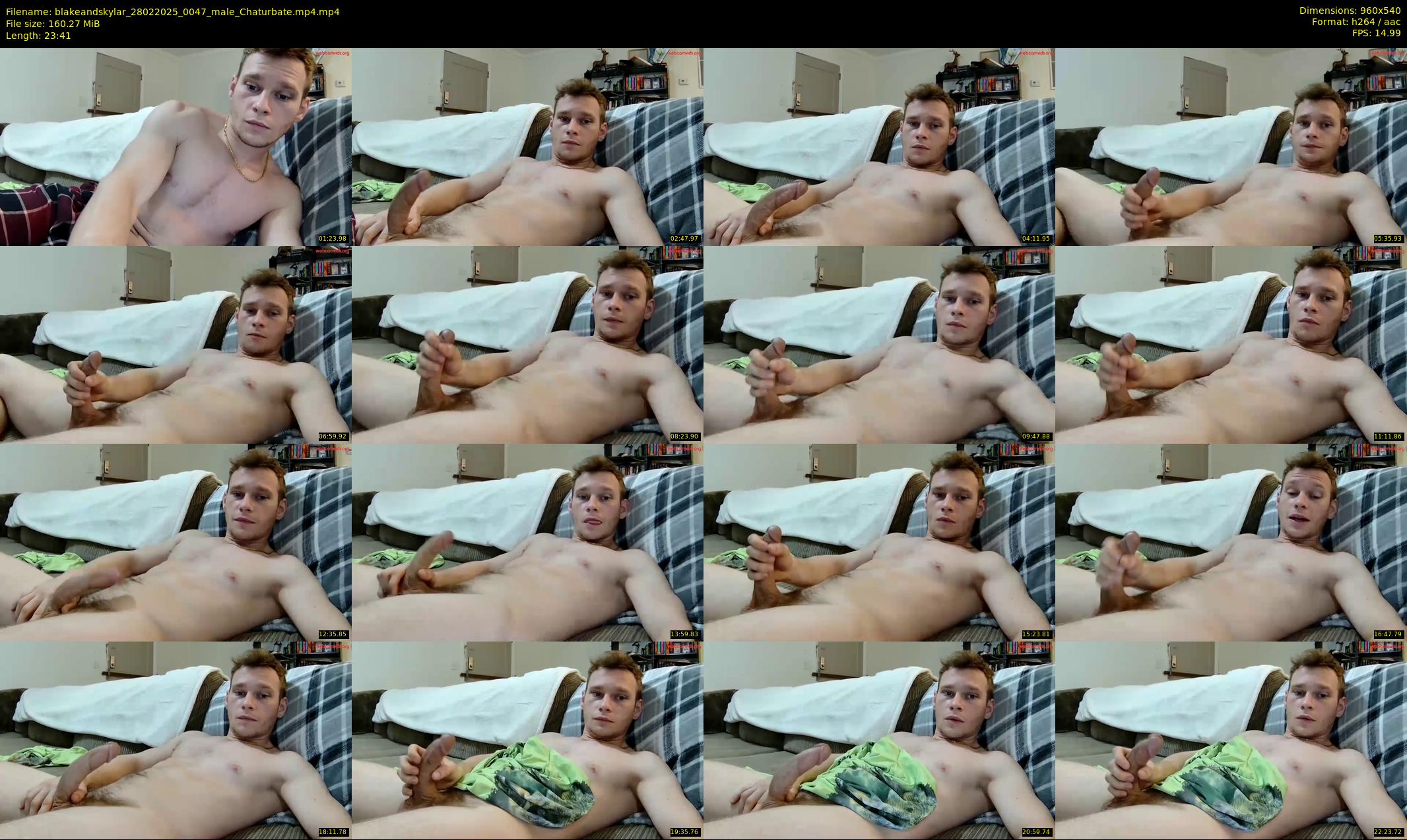blakeandskylar — 24 minute Chaturbate couple cam show recording, 480p, Feb 28, 2025