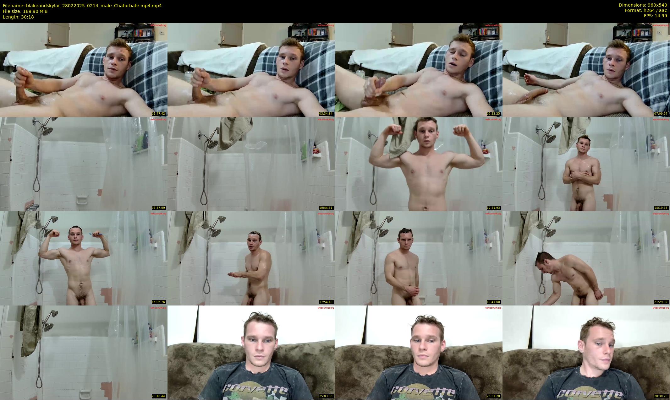 blakeandskylar — 31 minute Chaturbate couple cam show recording, 480p, Feb 28, 2025