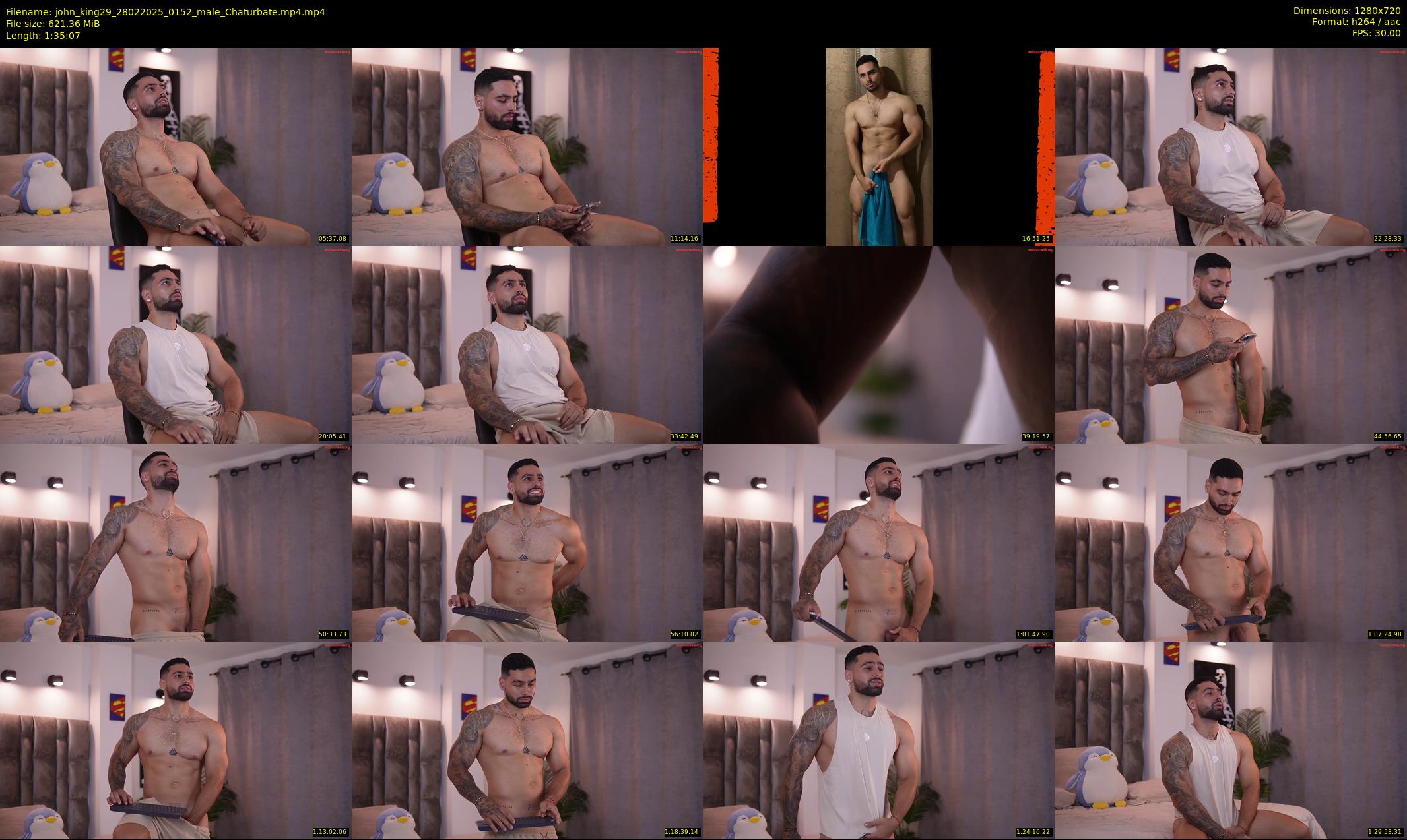 john_king29 — 96 minute Chaturbate male cam show recording, 720p, Feb 28, 2025