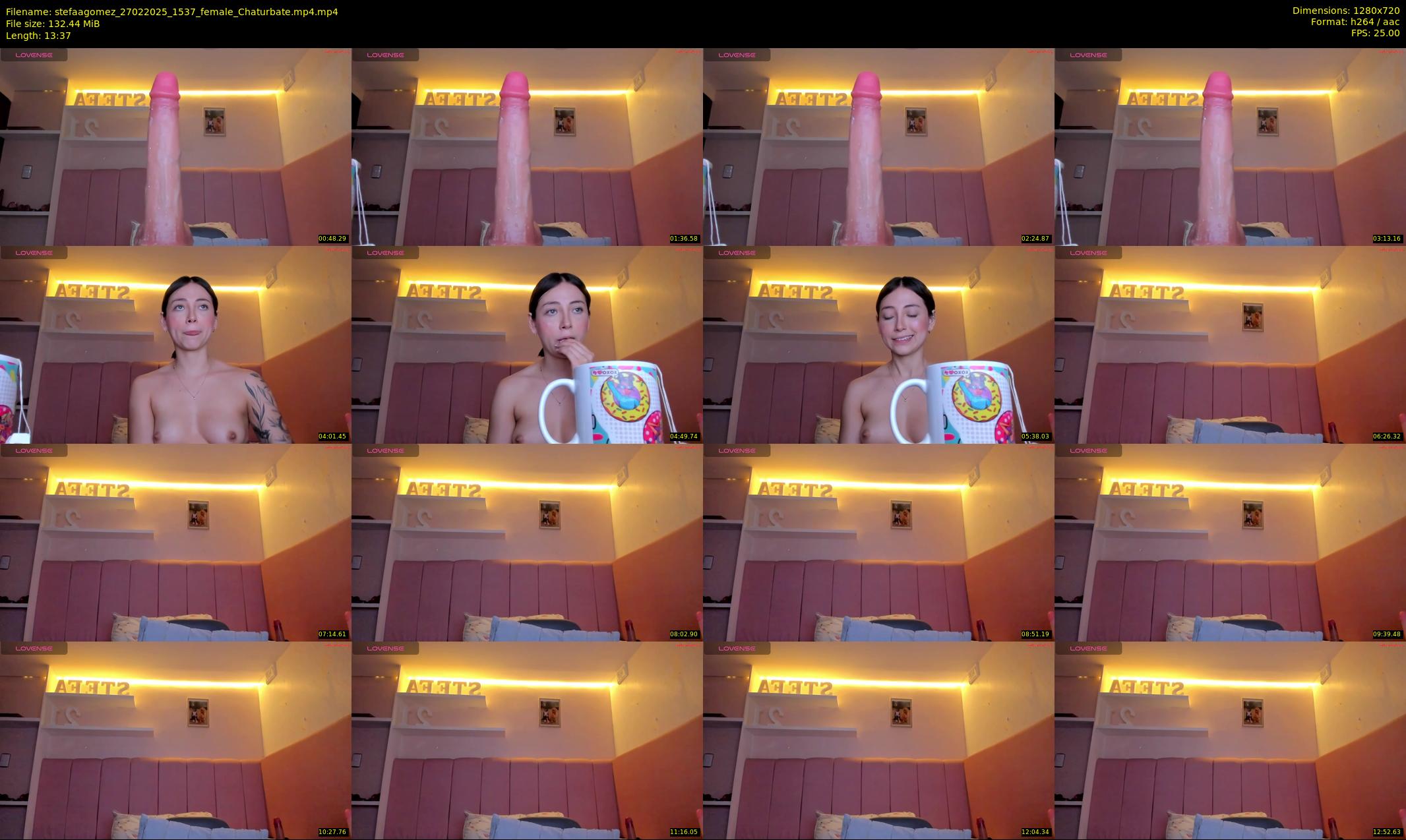 stefaagomez — 14 minute Chaturbate female cam show recording, 720p, Feb 27, 2025