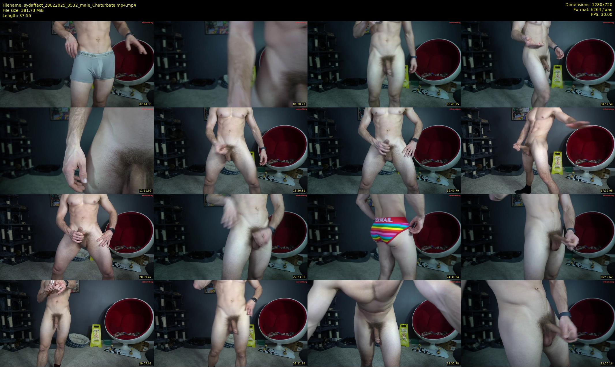 sydaffect — 38 minute Chaturbate male cam show recording, 720p, Feb 28, 2025