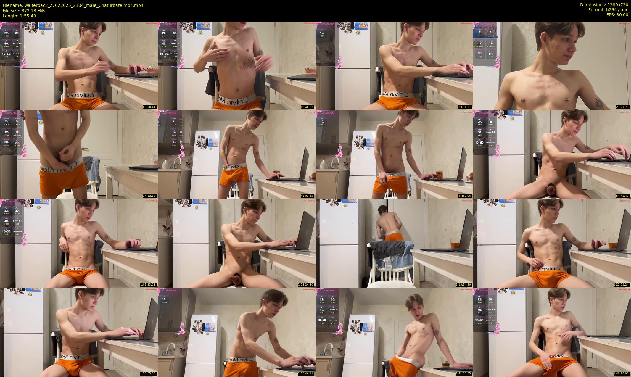 walterback — 116 minute Chaturbate male cam show recording, 720p, Feb 27, 2025
