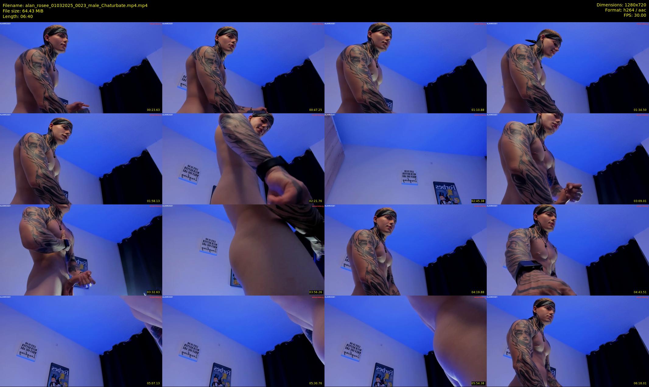 alan_rosee — 7 minute Chaturbate male cam show recording, 720p, Mar 1, 2025
