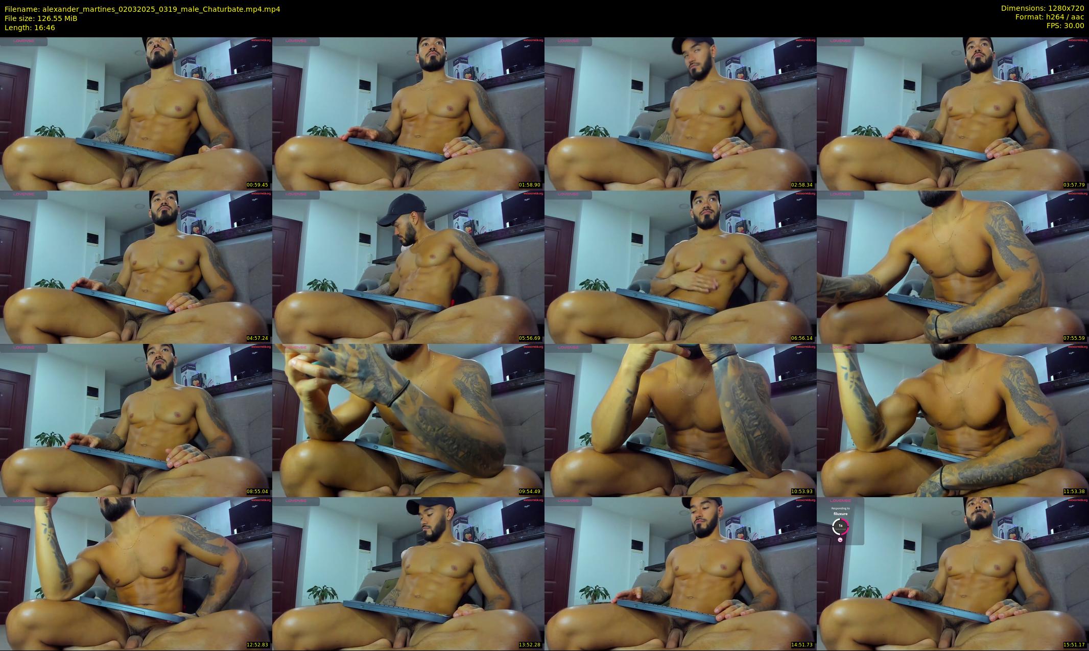 alexander_martines — 17 minute Chaturbate male cam show recording, 720p, Mar 2, 2025