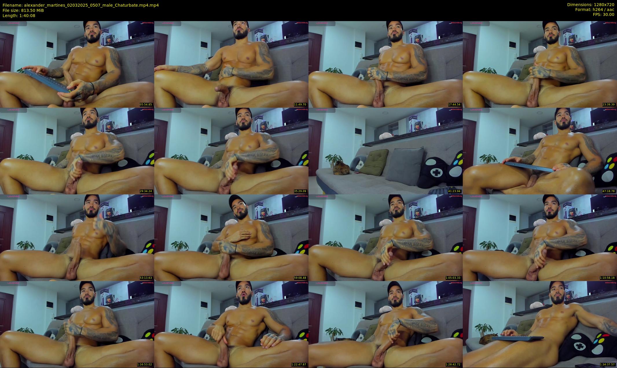alexander_martines — 101 minute Chaturbate male cam show recording, 720p, Mar 2, 2025