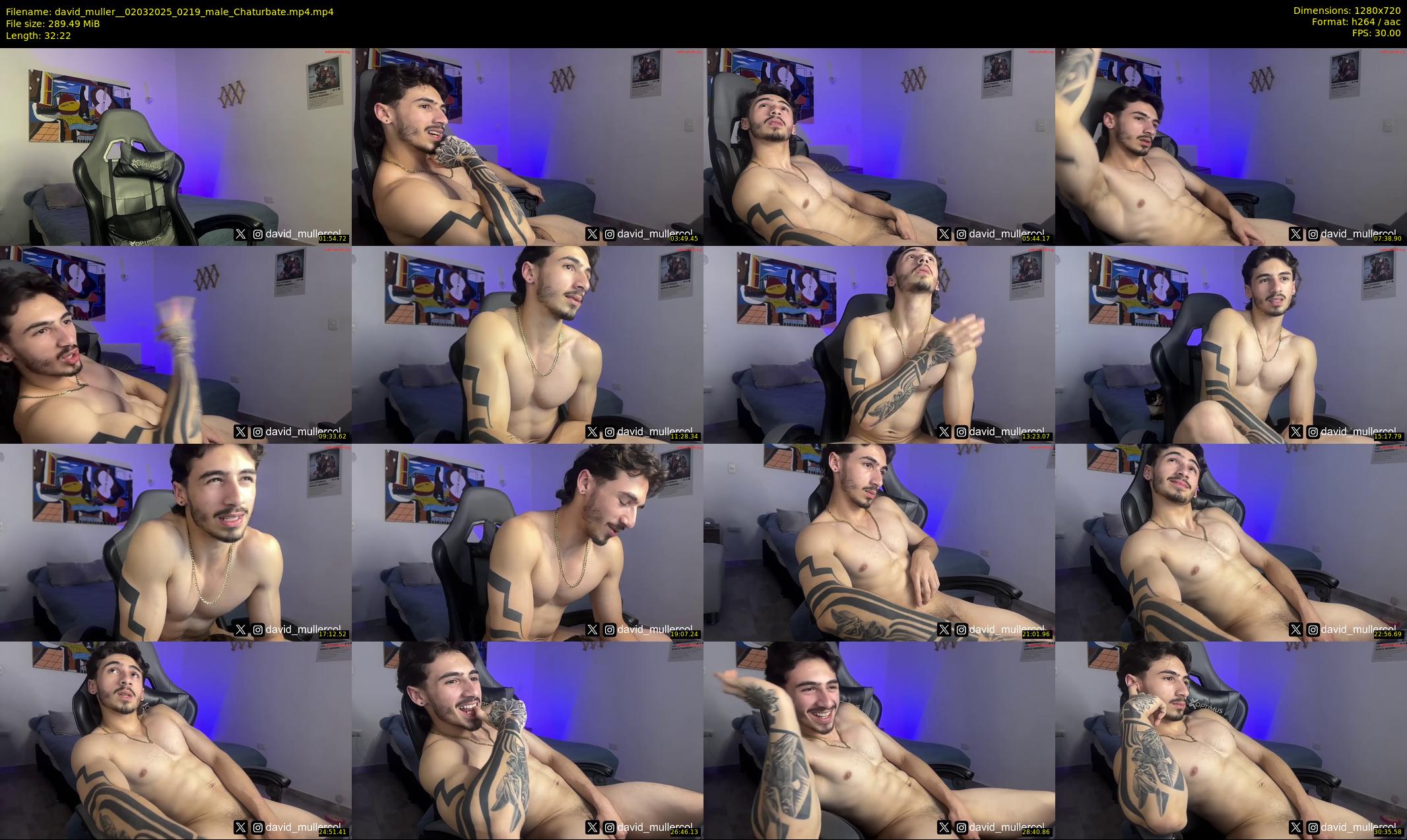 david_muller_ — 33 minute Chaturbate male cam show recording, 720p, Mar 2, 2025