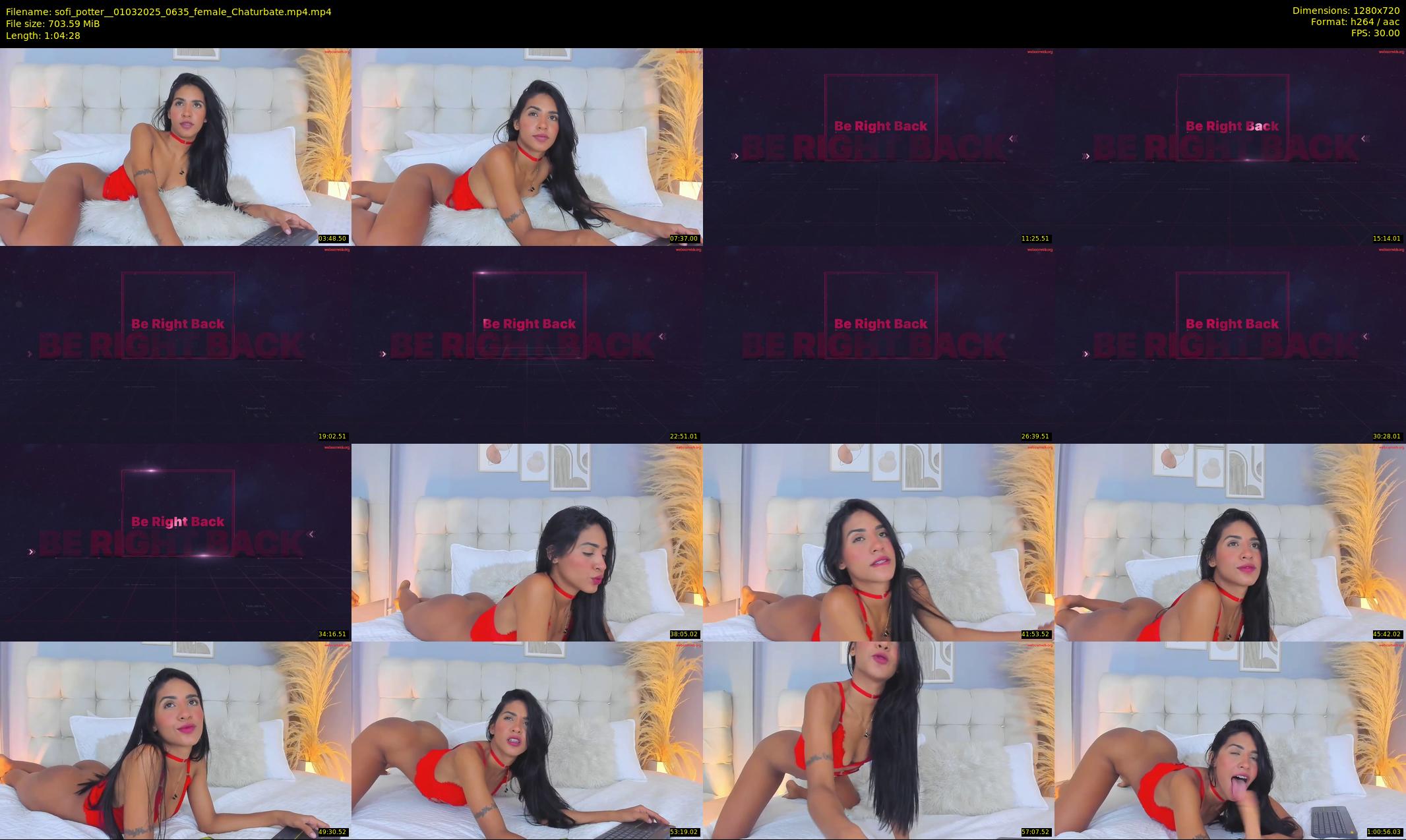 sofi_potter_ — 65 minute Chaturbate female cam show recording, 720p, Mar 1, 2025