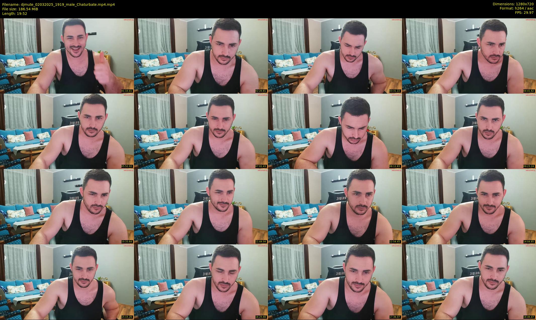 djmute — 20 minute Chaturbate male cam show recording, 720p, Mar 2, 2025