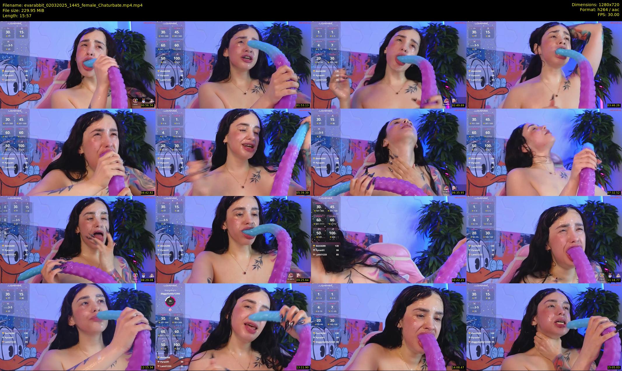 evarabbit — 16 minute Chaturbate female cam show recording, 720p, Mar 2, 2025