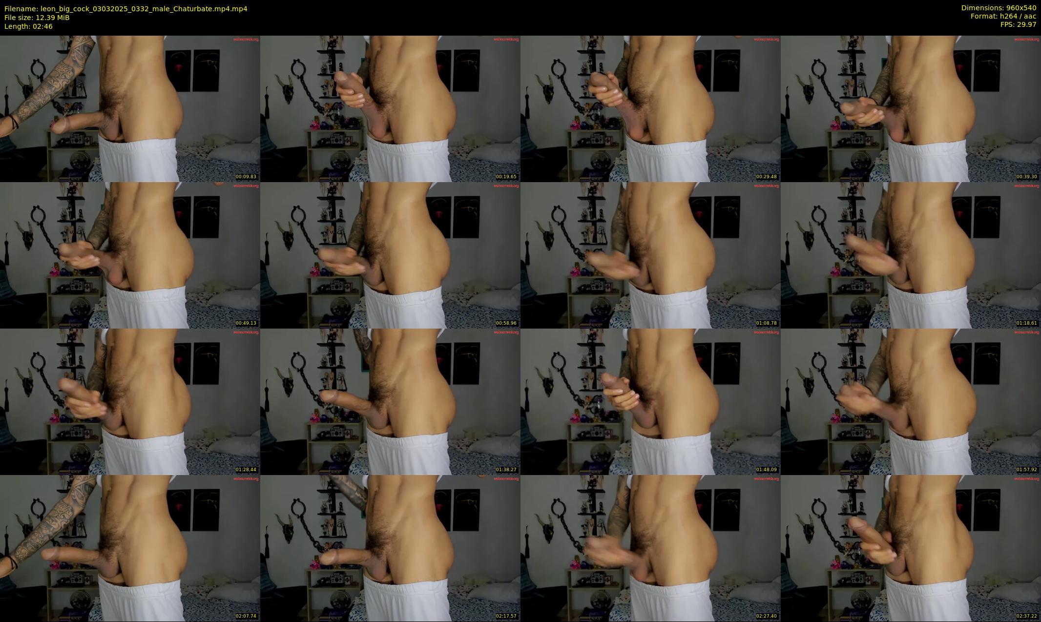 leon_big_cock — 3 minute Chaturbate male cam show recording, 480p, Mar 3, 2025