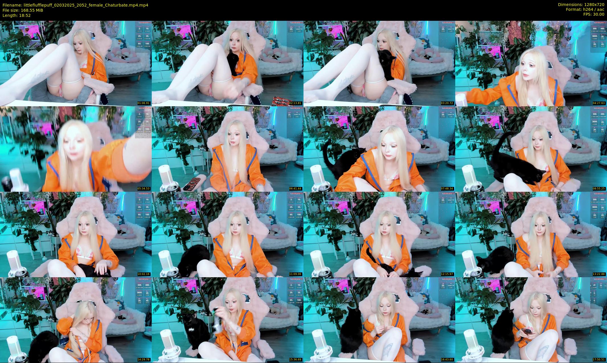 littleflufflepuff — 19 minute Chaturbate female cam show recording, 720p, Mar 2, 2025