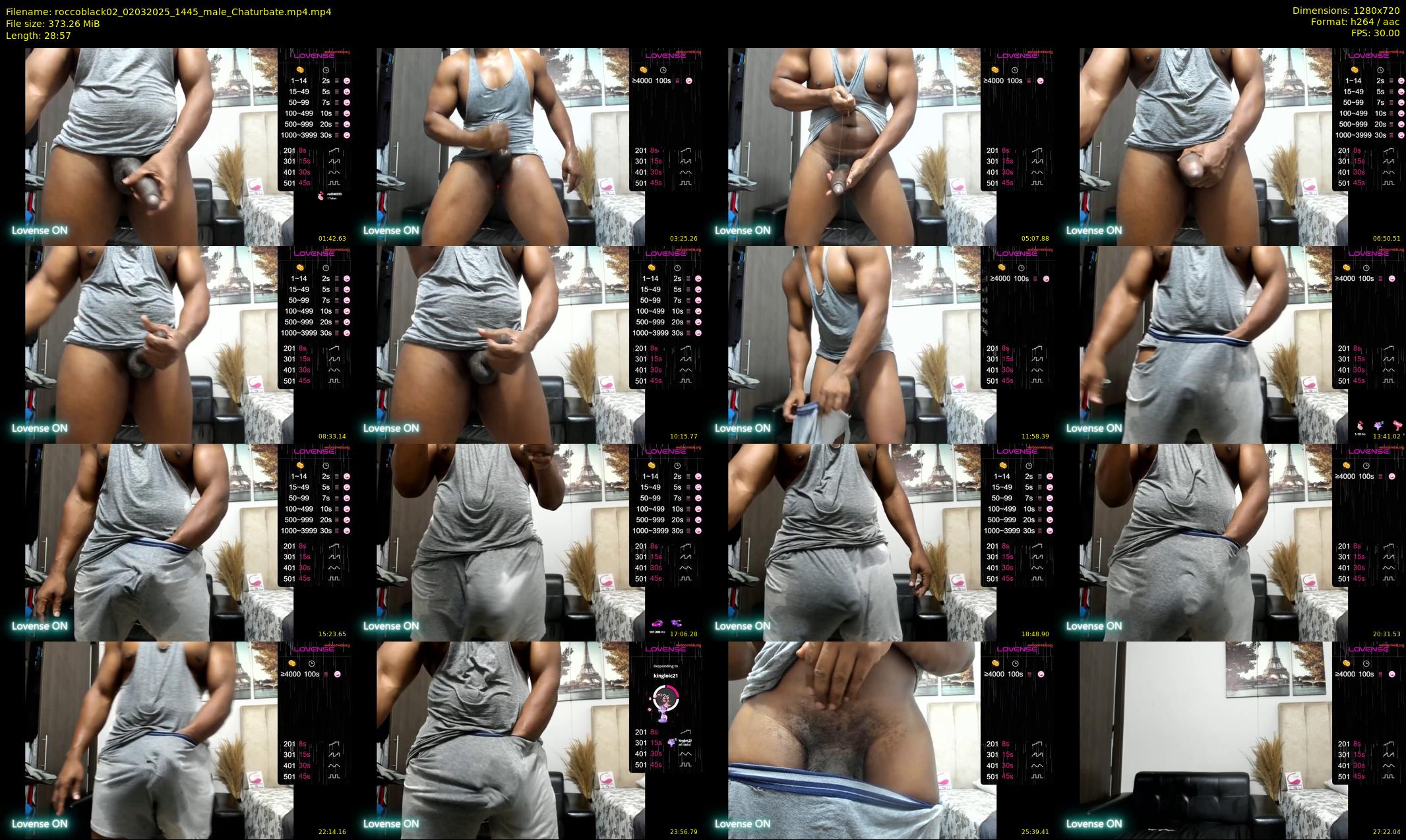 roccoblack02 — 29 minute Chaturbate male cam show recording, 720p, Mar 2, 2025