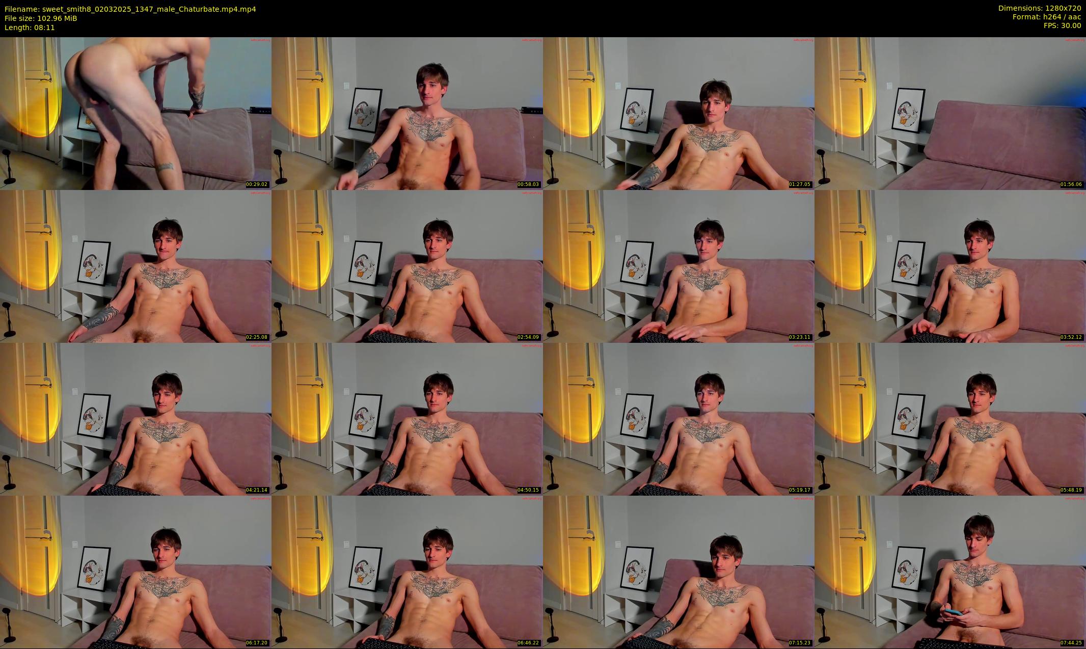 sweet_smith8 — 9 minute Chaturbate male cam show recording, 720p, Mar 2, 2025