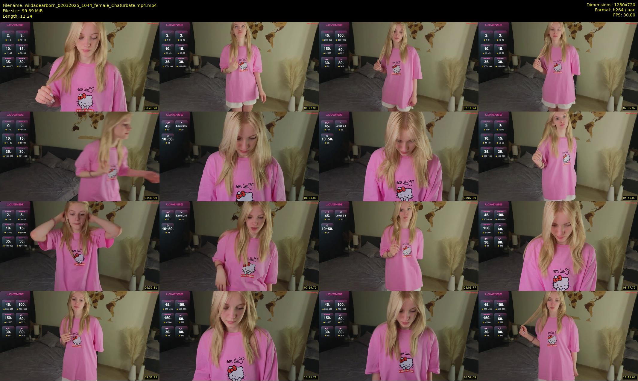 wildadearborn — 13 minute Chaturbate female cam show recording, 720p, Mar 2, 2025